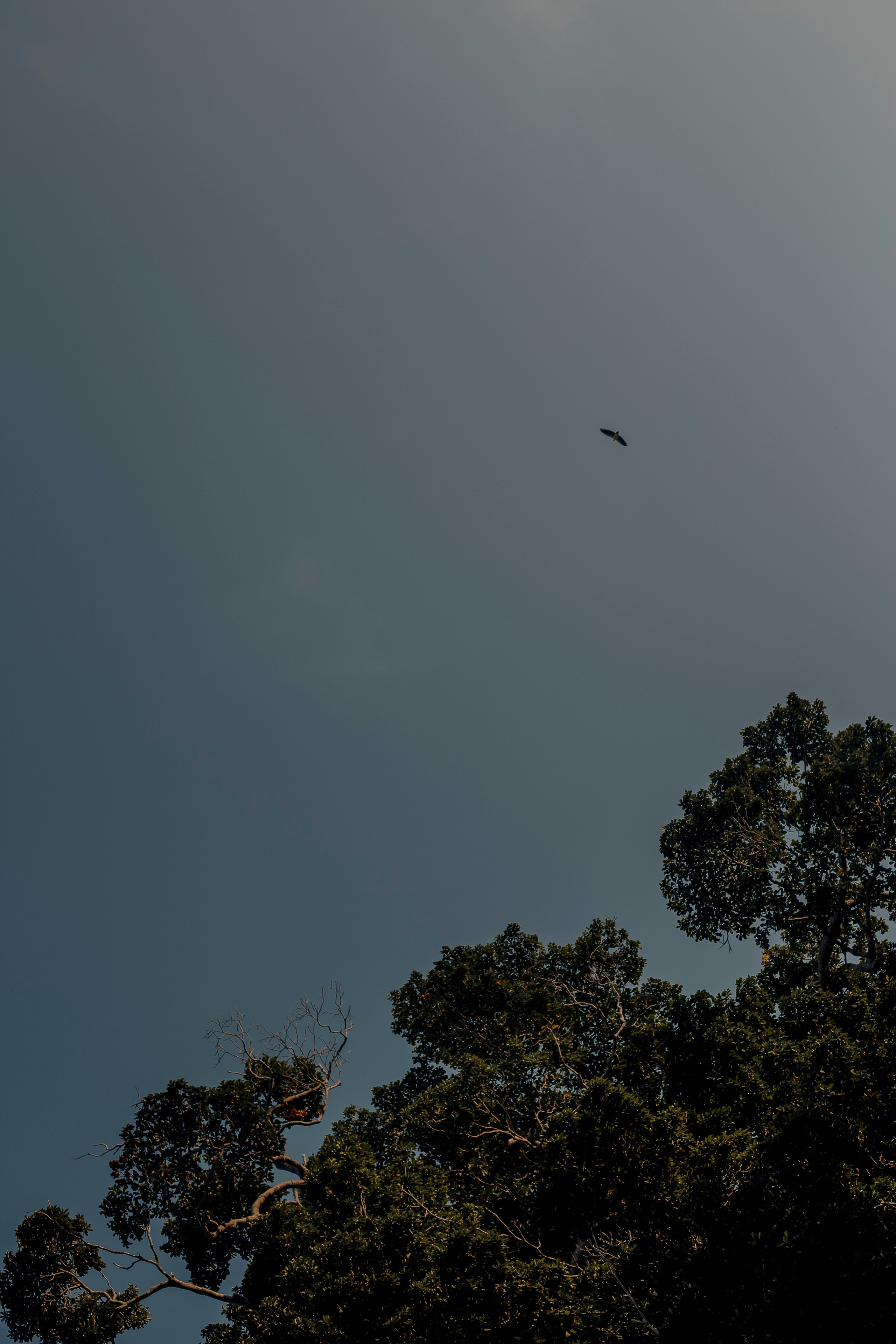 Andaman Islands, Part2. Art Photographer