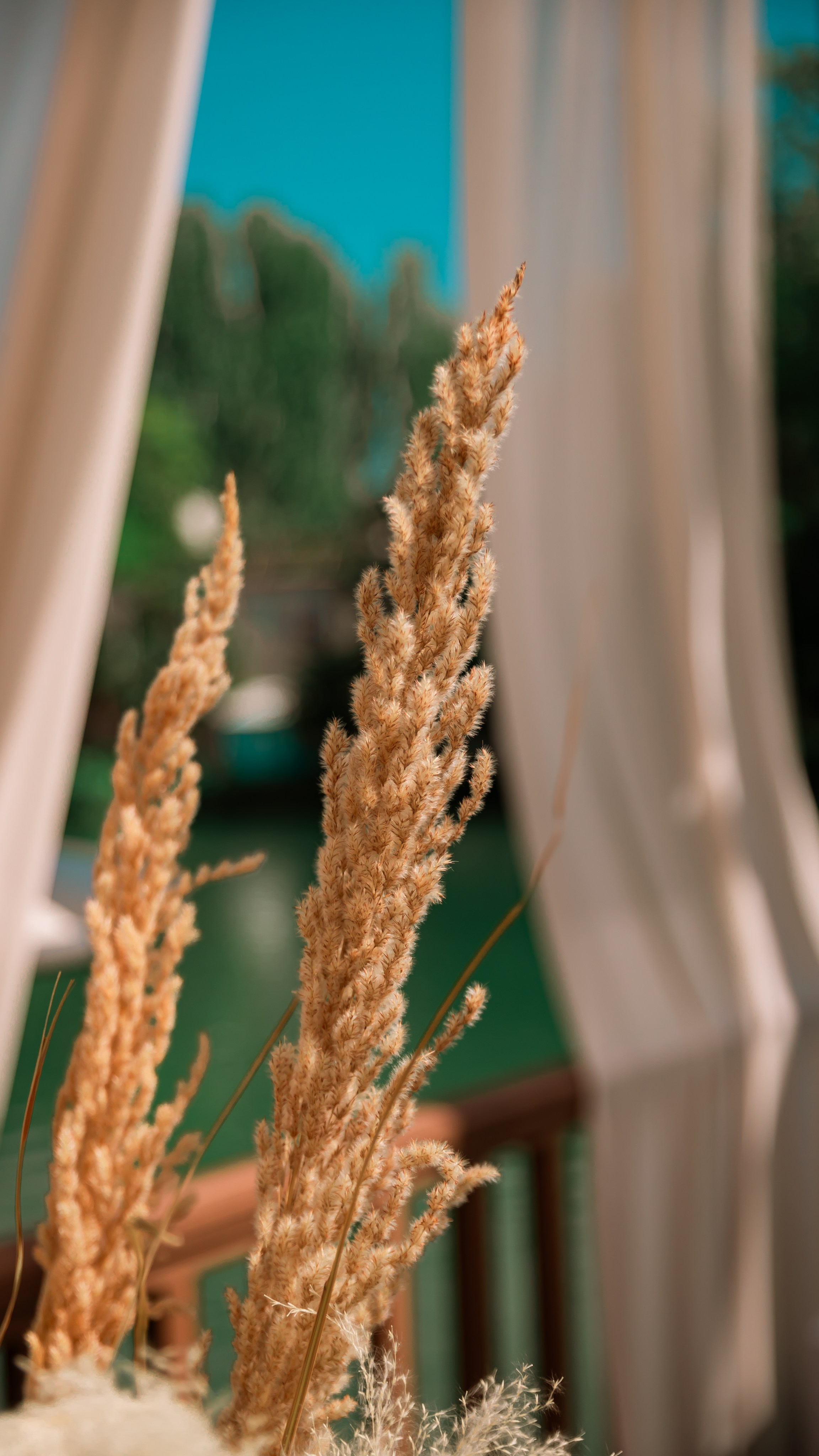 Репортажная фотосъёмка. Яркие моменты, запечатленные в каждом кадре