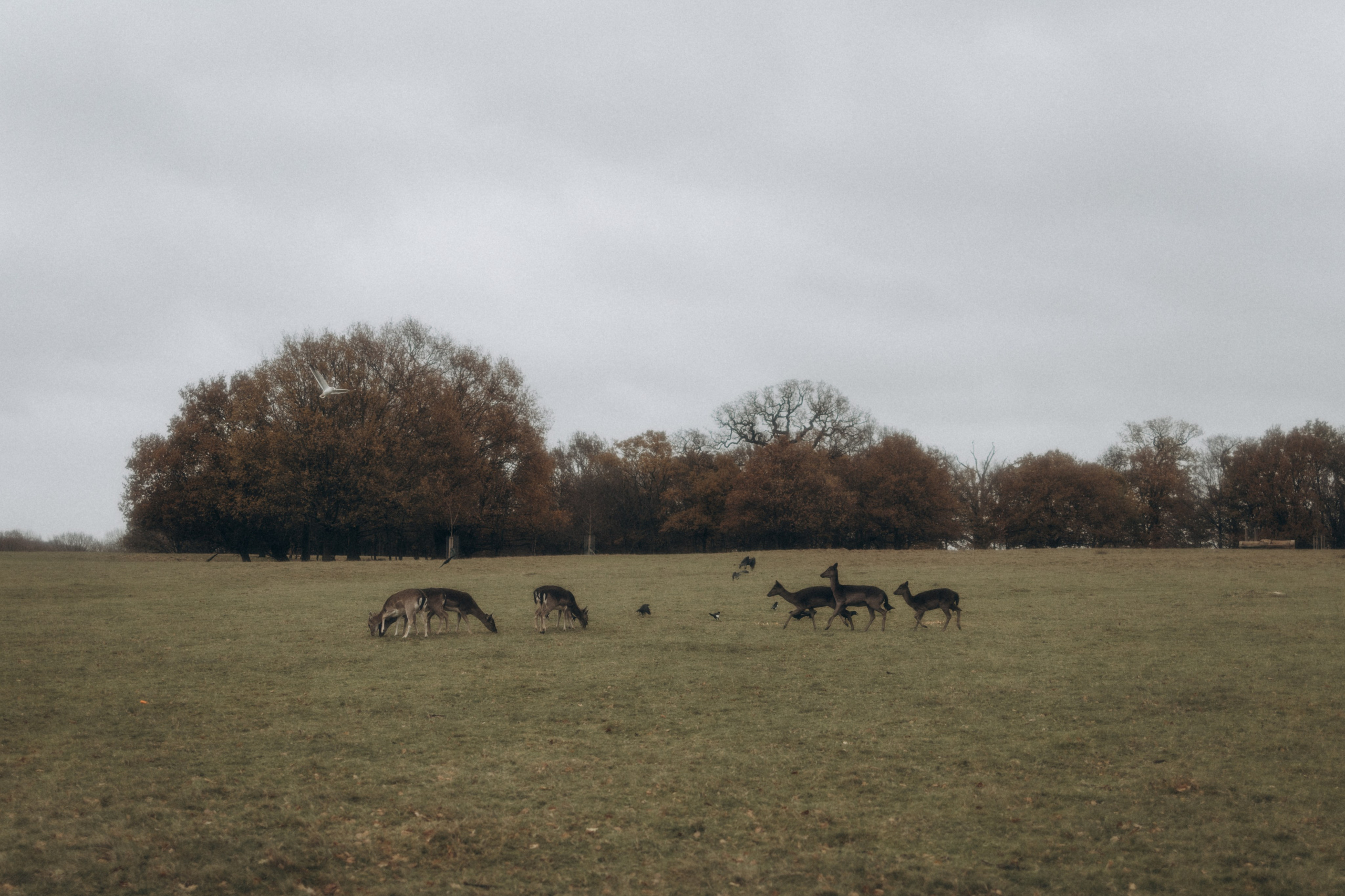 Alex, Vand, Leo. Photographer in Milton Keynes, Northampton & London — Wedding, Family & Portrait Photography
