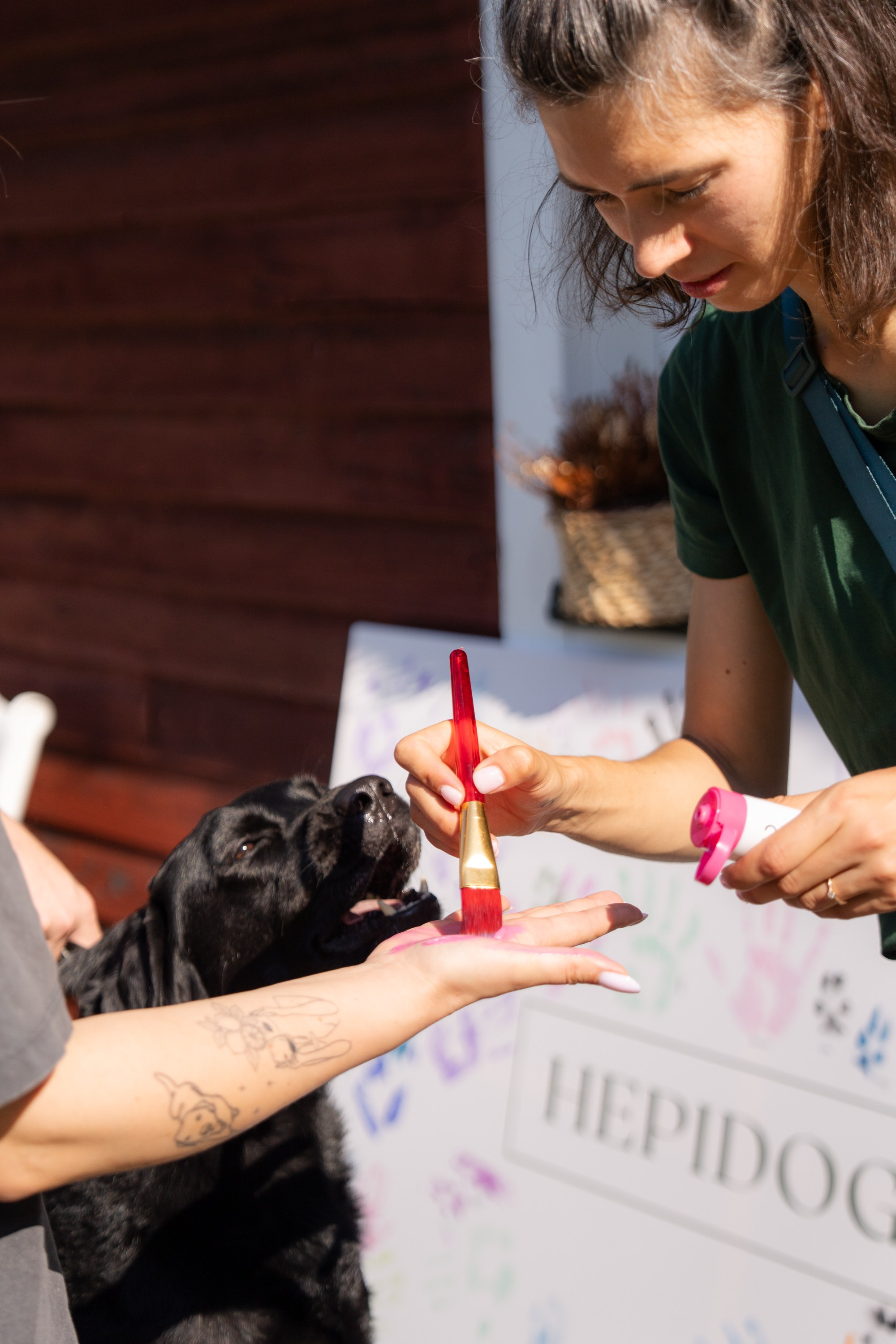 Heppi Dogo fest 2025. Vita Klimaševska ○ Fluffy Soulmate Photography