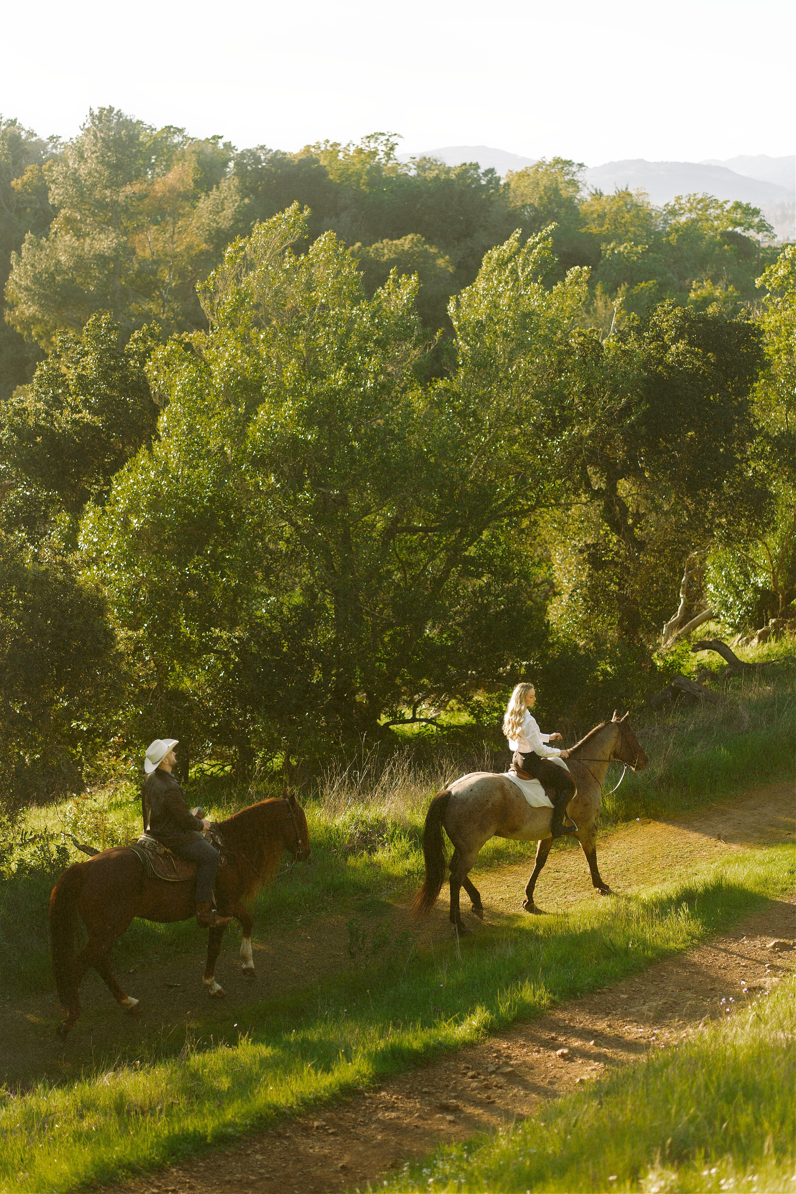 Engagement with Horses, Napa, Northern California. Wedding Photography & Videography Team in California, Los Angeles, San Francisco, San Diego and Travel