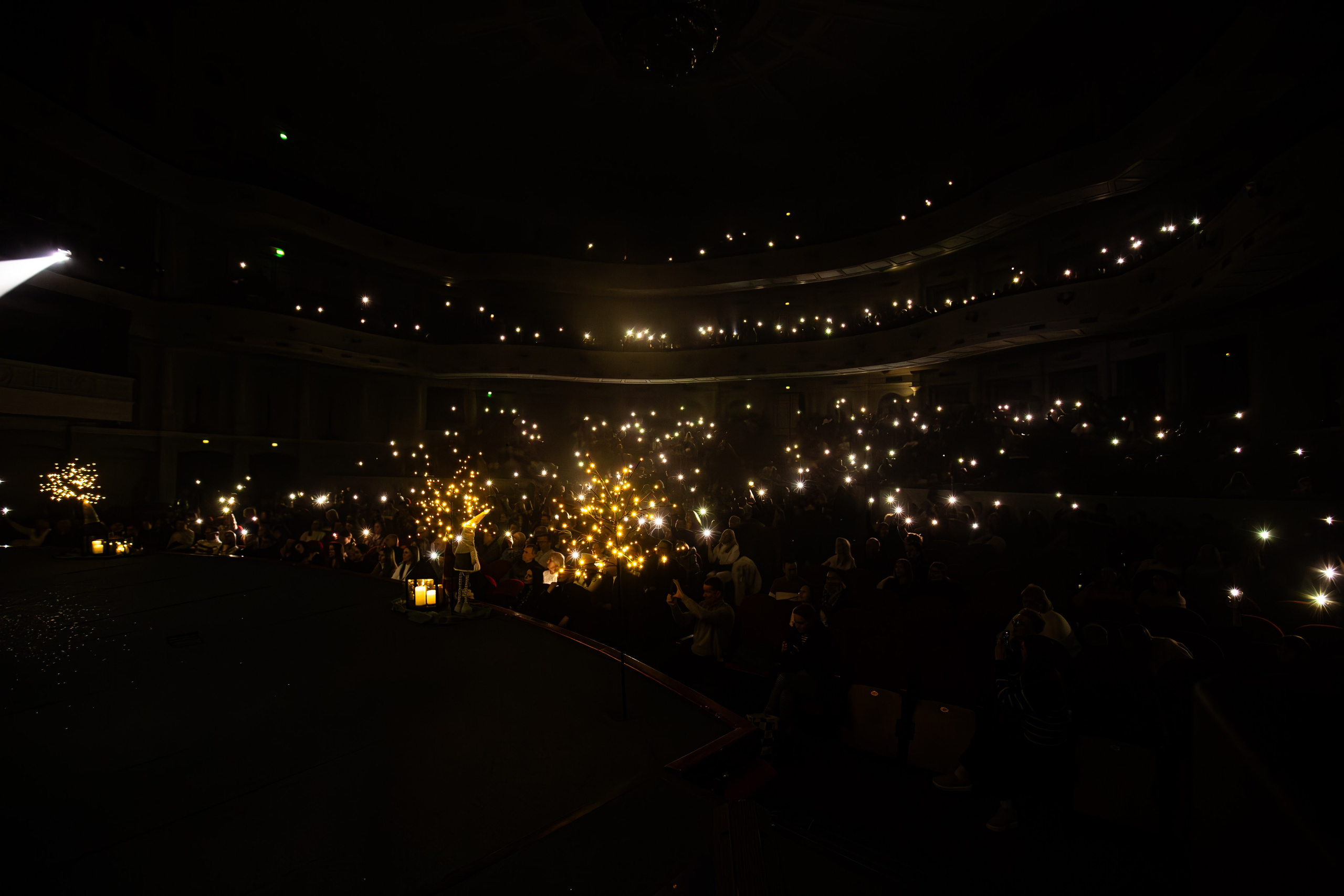 Скай. Репортажний фотограф/анімаліст КИЇВ
