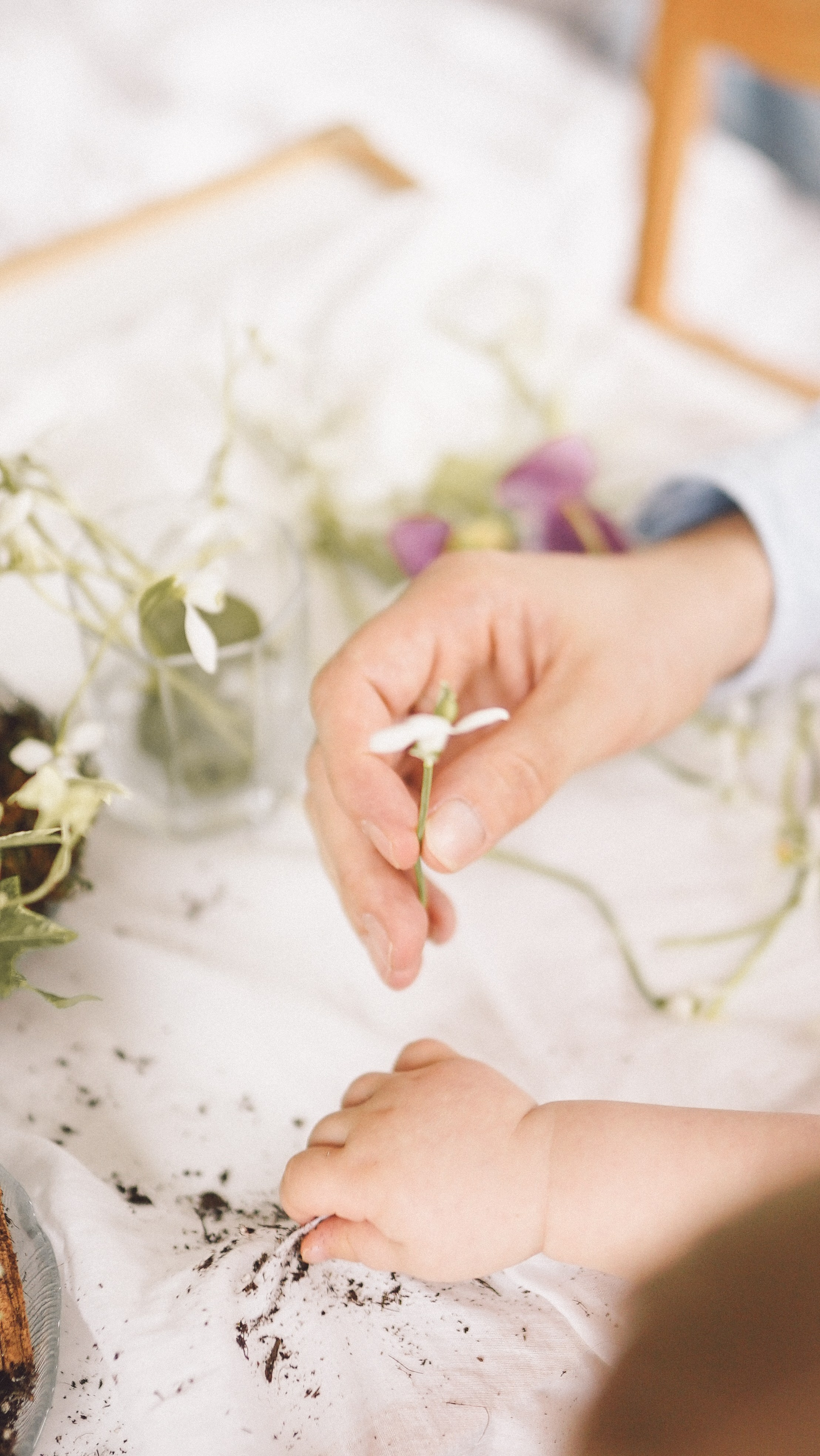 Ședințe Foto Primăvara Colorată Brașov | Mădălina Beda. Madalina Beda- Artist vizual, fotograf, doula la nastere, consultant babywearing Brasov si in toata tara