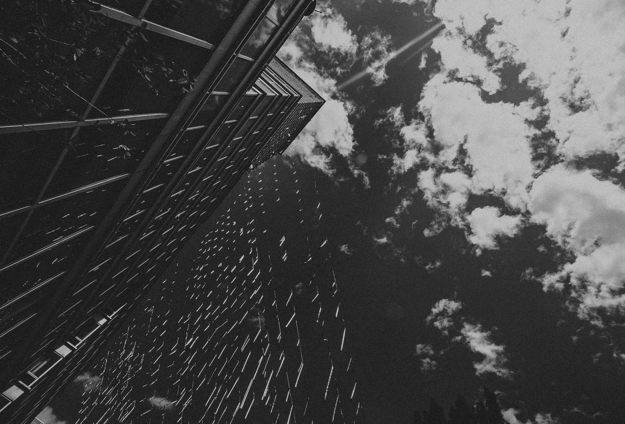 Yuri & Rob. Wedding and family photographer in Mexico City