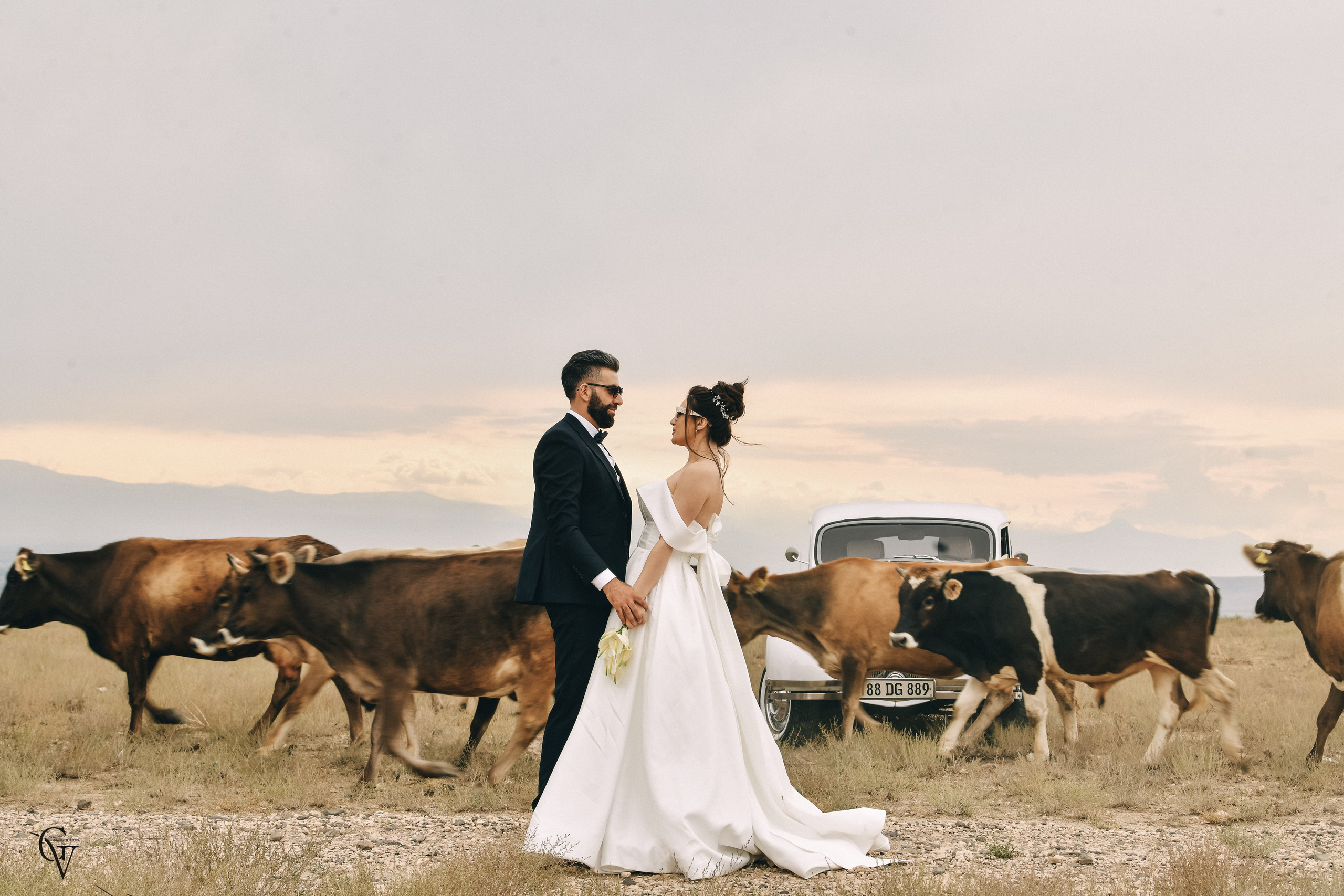 Narek Lusine Wedding. Wedding photos and video shooting in Armenia and all over the world!!! Photographer in Yerevan