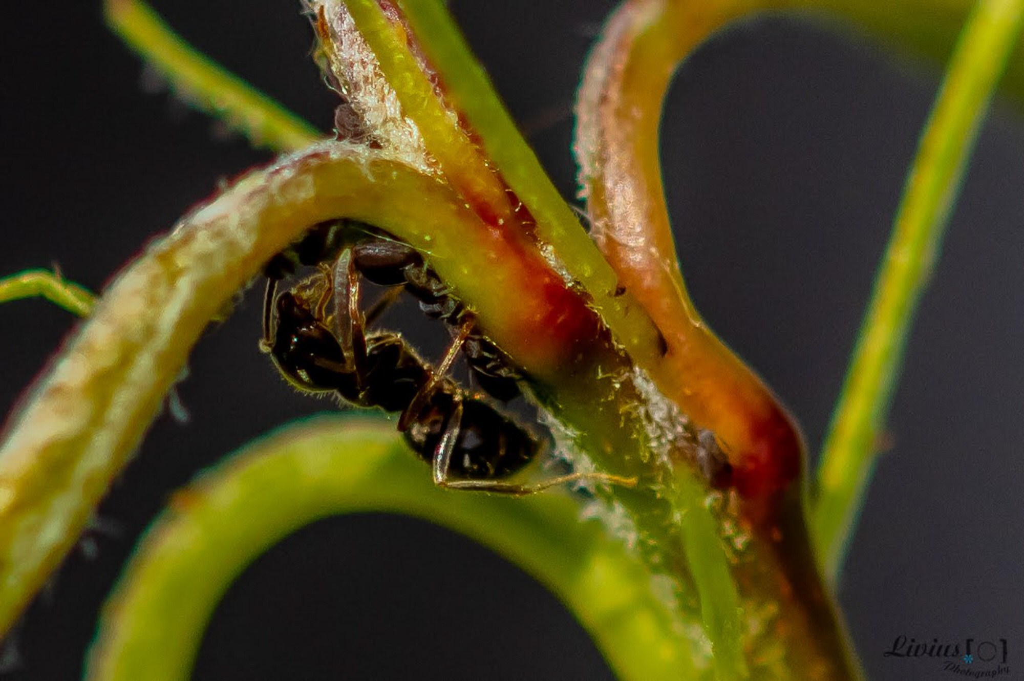 Hobby Bilder. FOTO KREATIV