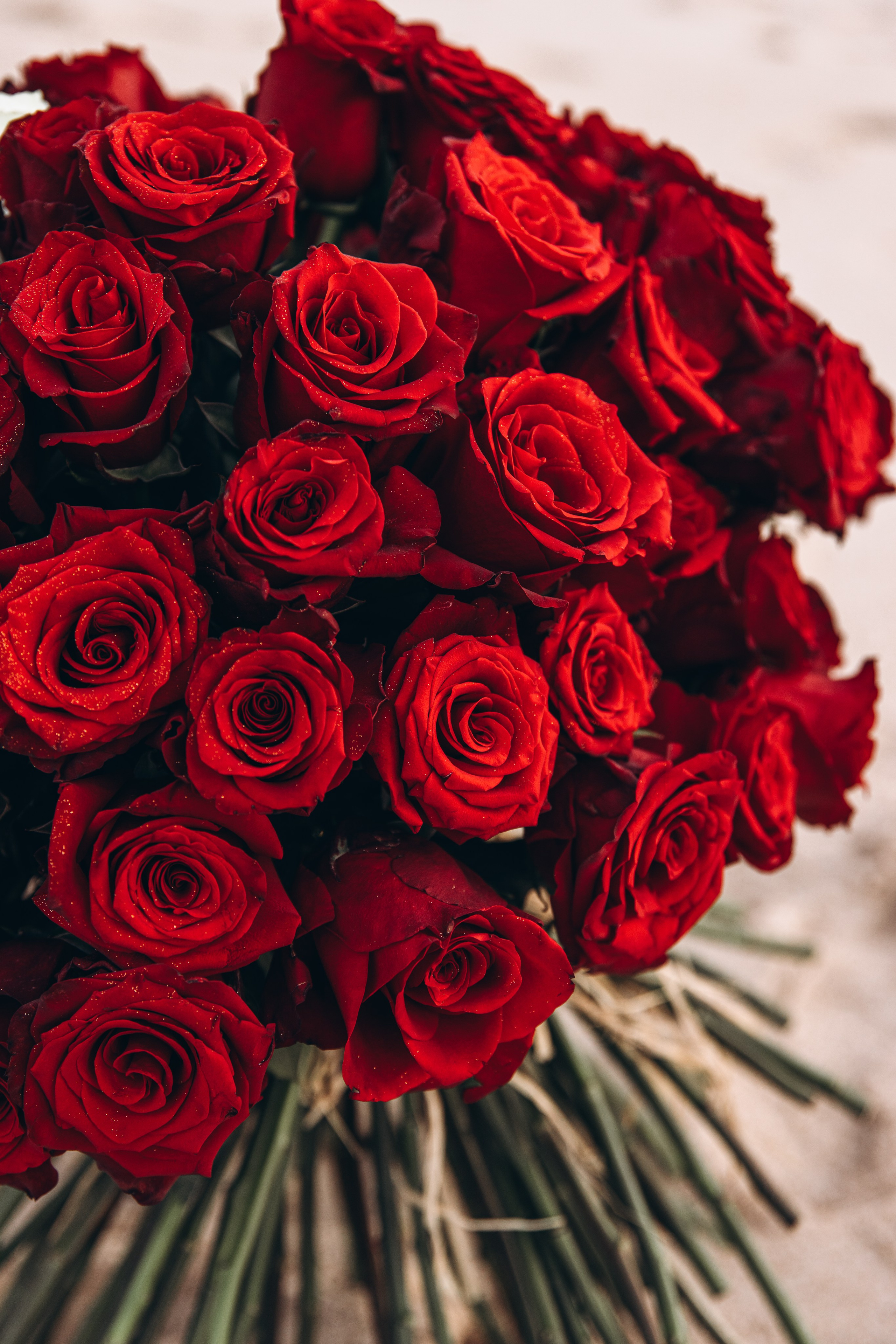 Pedido de Casamento. Luxury Wedding Photography & Cinematic Films | Portugal & Destination Weddings | Ricardo & Mary Pictures