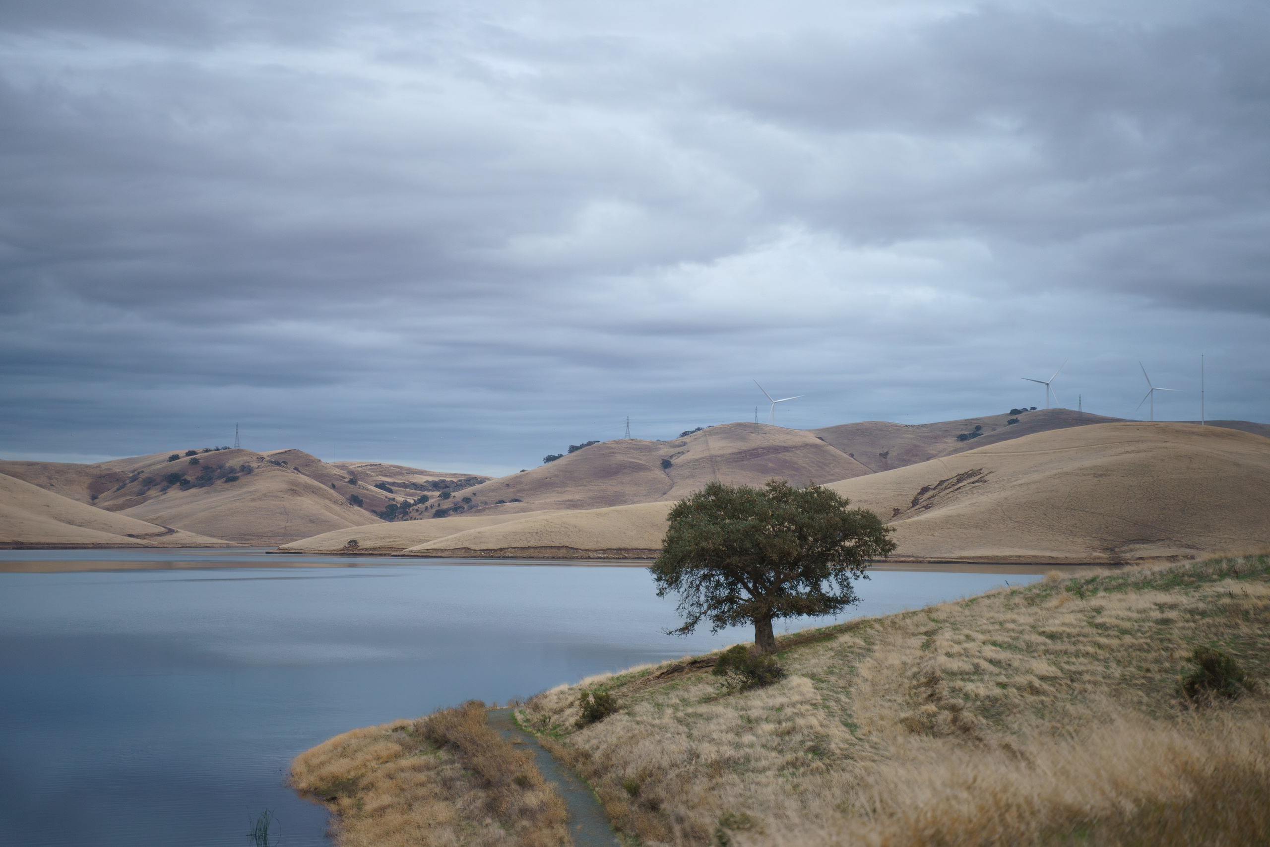 Los Vaqueros Reservoir. Tatiana Smirnova — Photographer