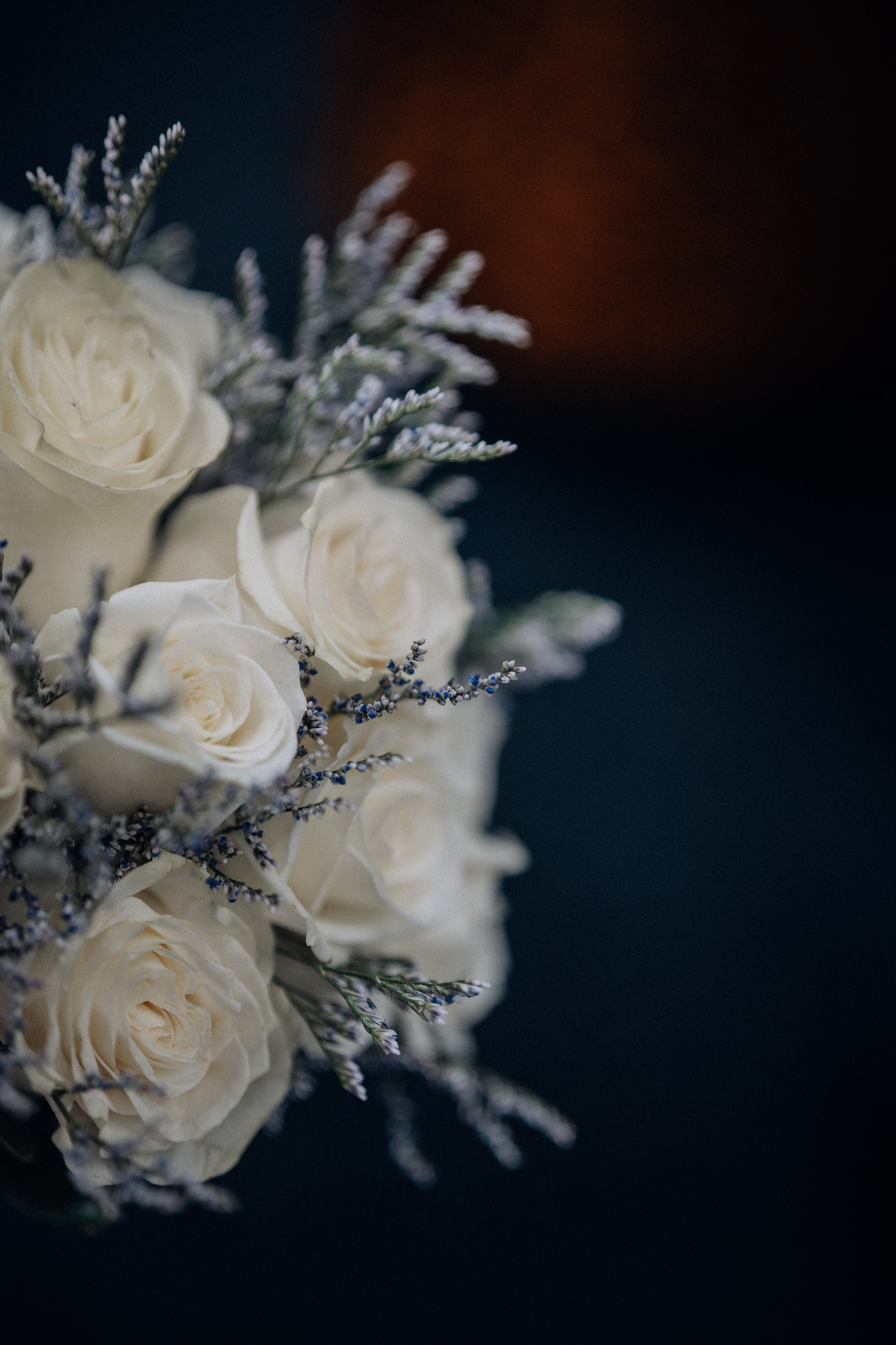 Wedding talk for an adult couple. Portrait and wedding photographer in New York