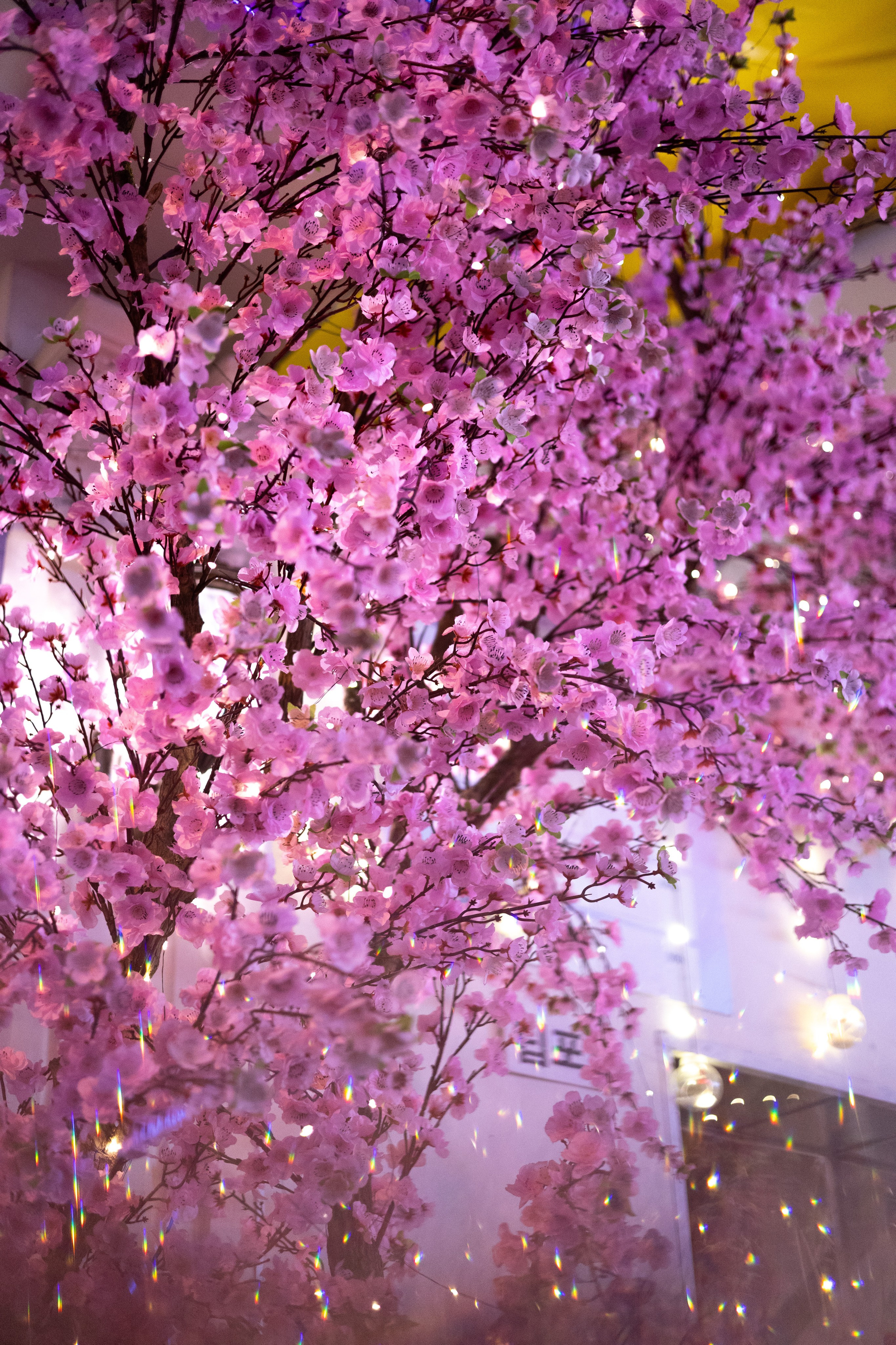 Ho Chi Minh, Vietnam | Part 1| 2025. HOME