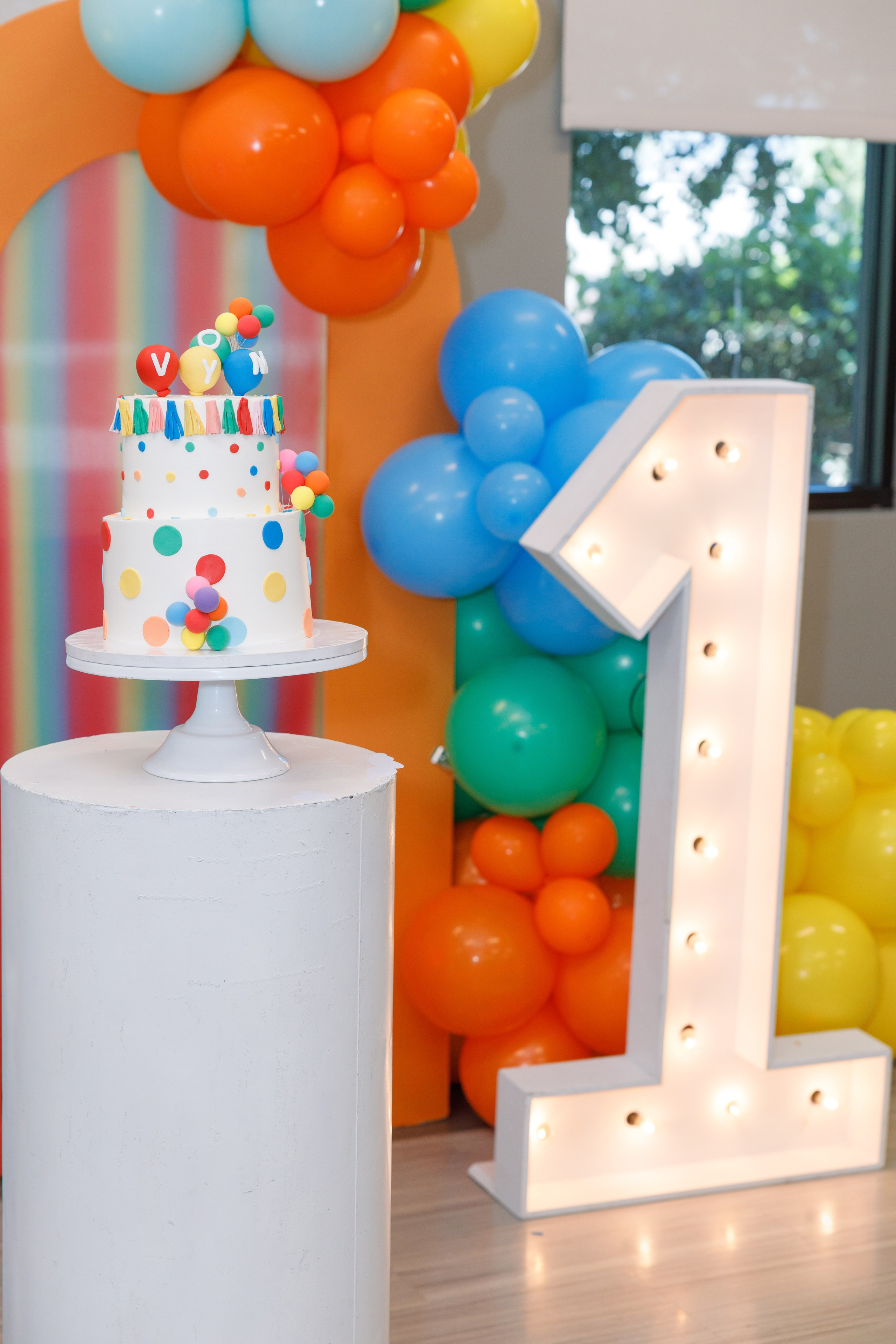 ONE. Family and Event photographer in Bay Area Elena Tiuriumina