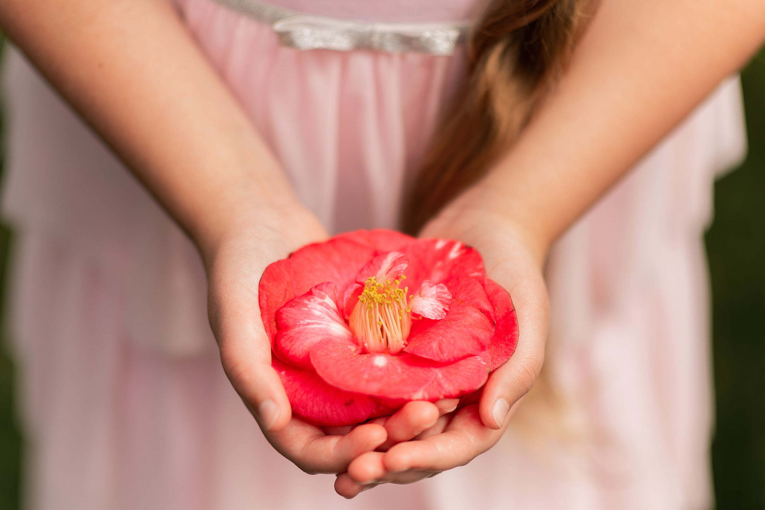 Lilac garden. Wedding & portrait photography in the Seattle Area. Helen Michelle photographer