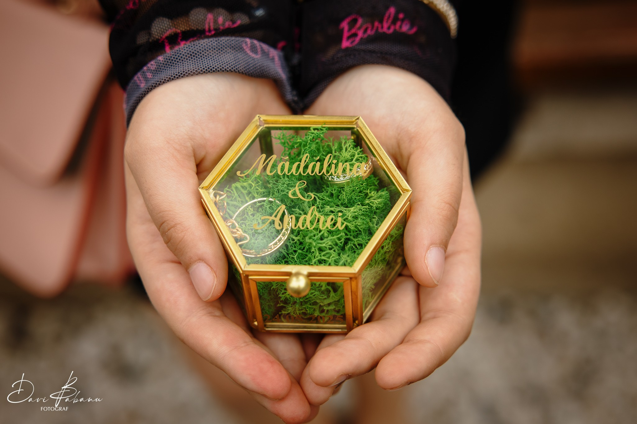 Mădălina & Andrei - Cununie Civilă Iasi