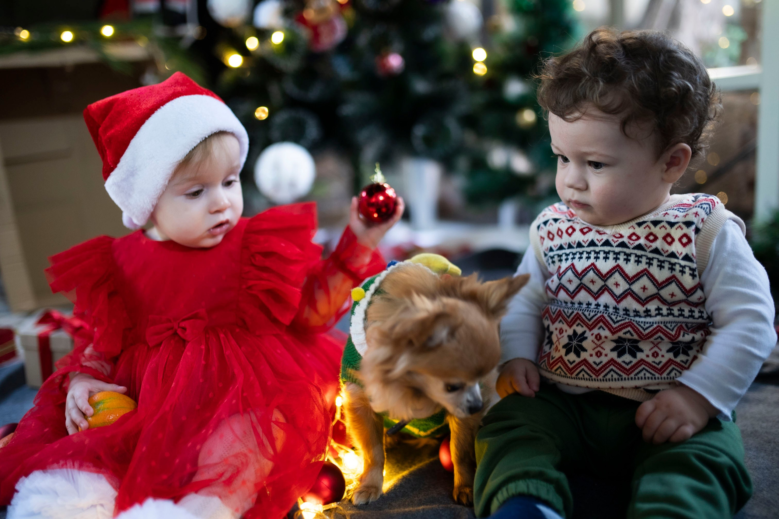Christmas in Kindergarten. KATY GOLD PHOTOGRAPHY