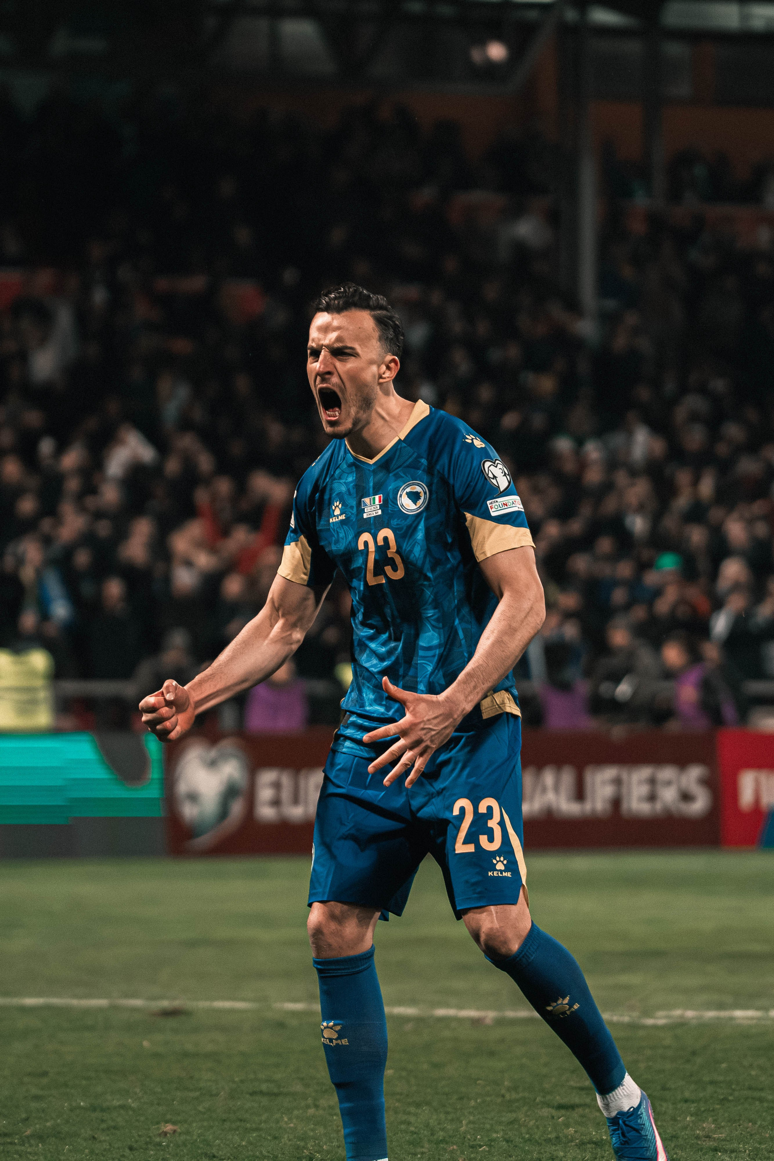 Bosnia and Herzegovina — National Team. Ammar Šabić