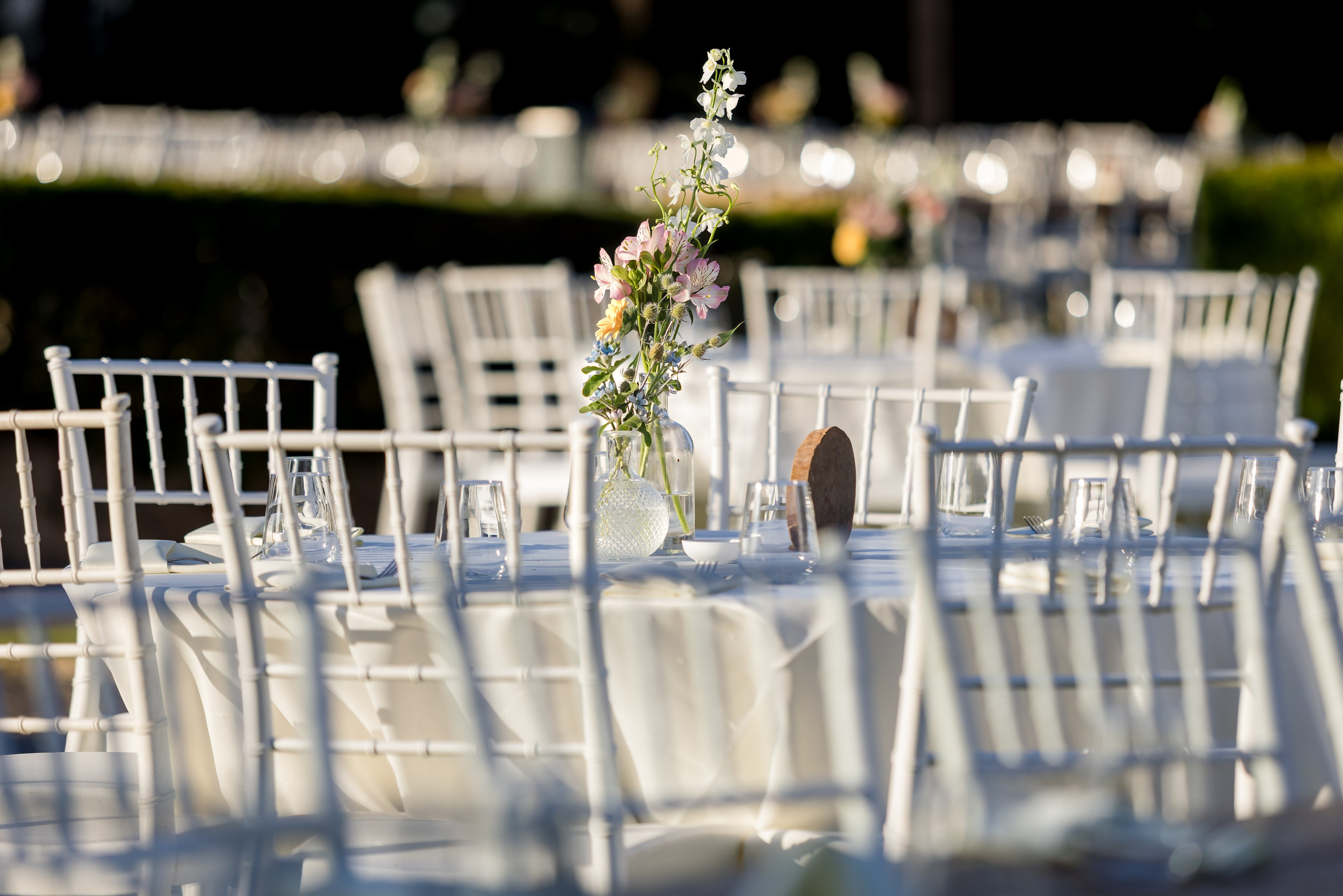 Tamar & Assaf. AMIR BUCHNIK PHOTOGRAPHER