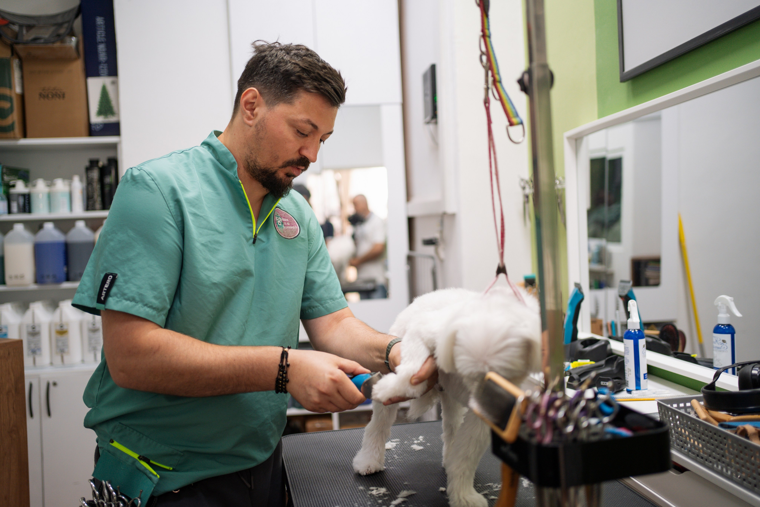 PetGroom Timisoara. Cozac Cristian Photographer