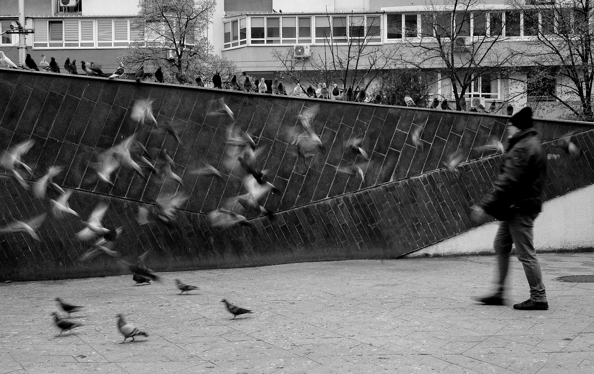 Fotografie de strada. Foto Studio — Fotograf de evenimente, nunti, botezuri, portrete