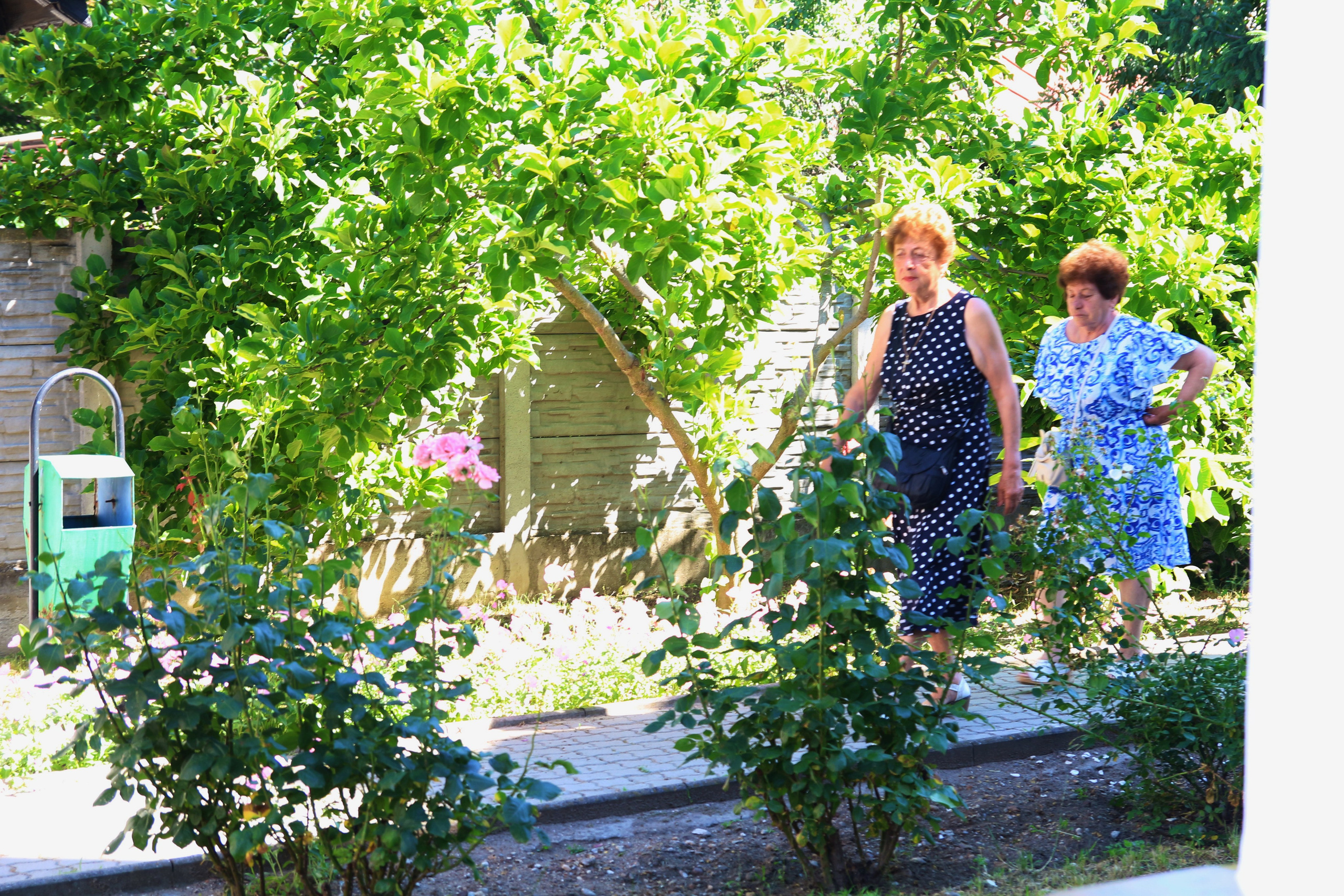 BYZO MEDIA. PETRU BYZO - family and children photographer in ROMANIA