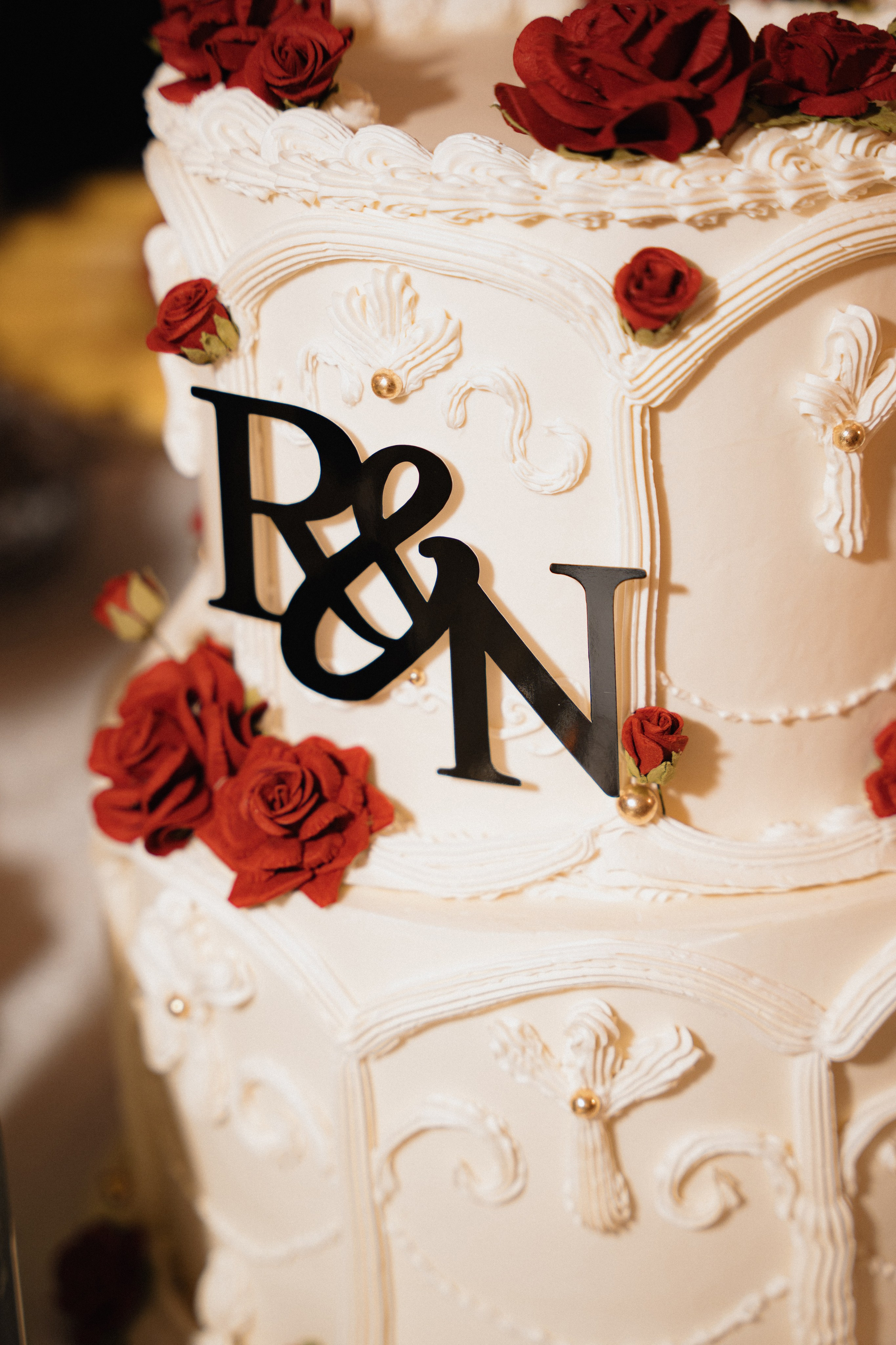 Rani and Noor’s engagement party. Photographer in Washington Sophia D