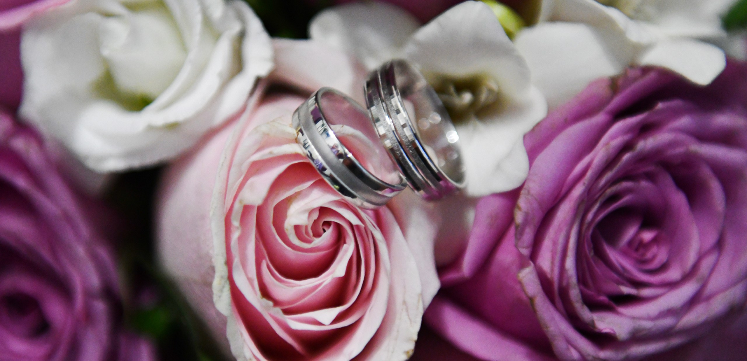 Pro Studio Photo & Video Team