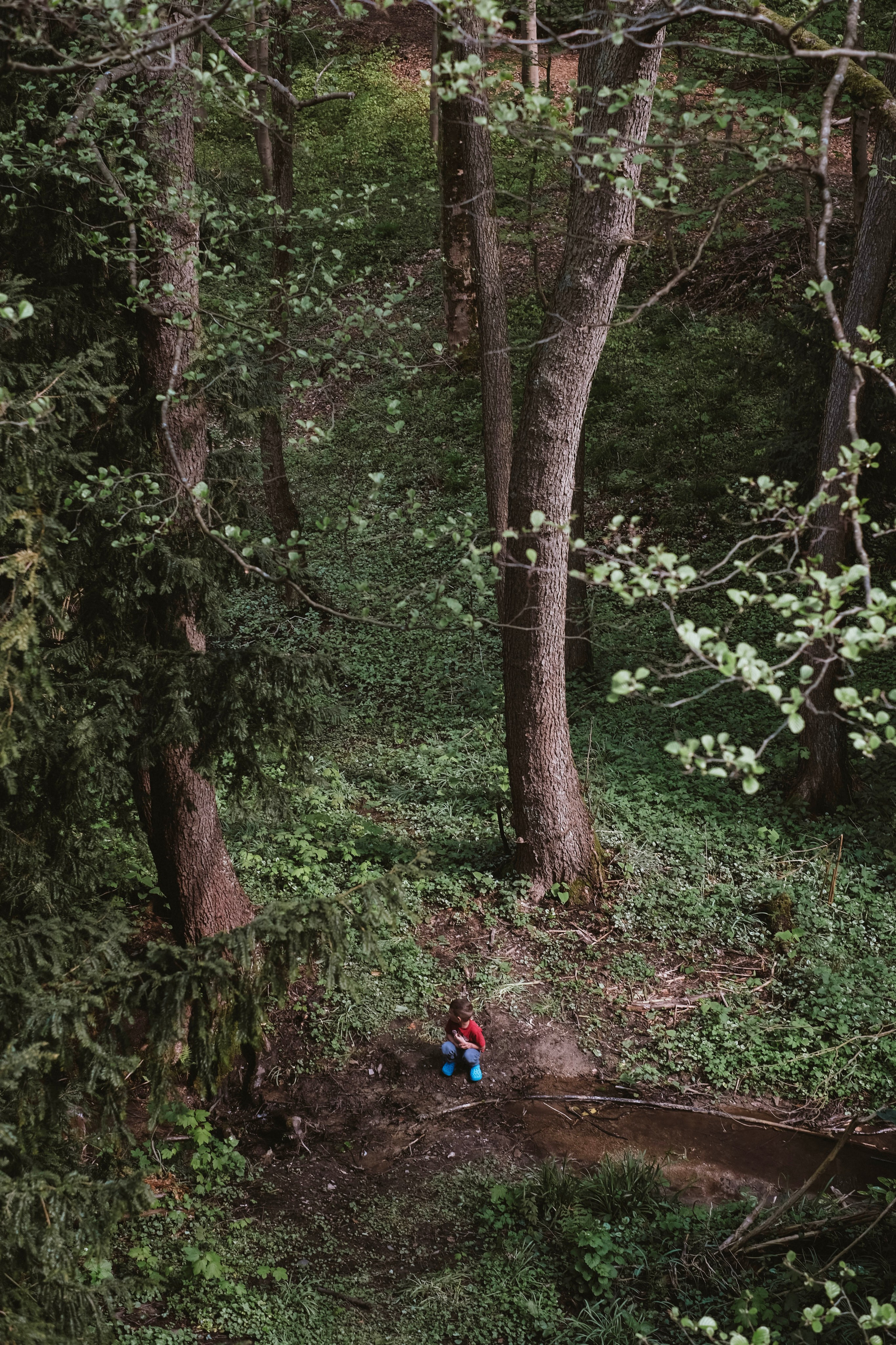 One year in a 500 years old house. Authentische Familienfotografie in Köln