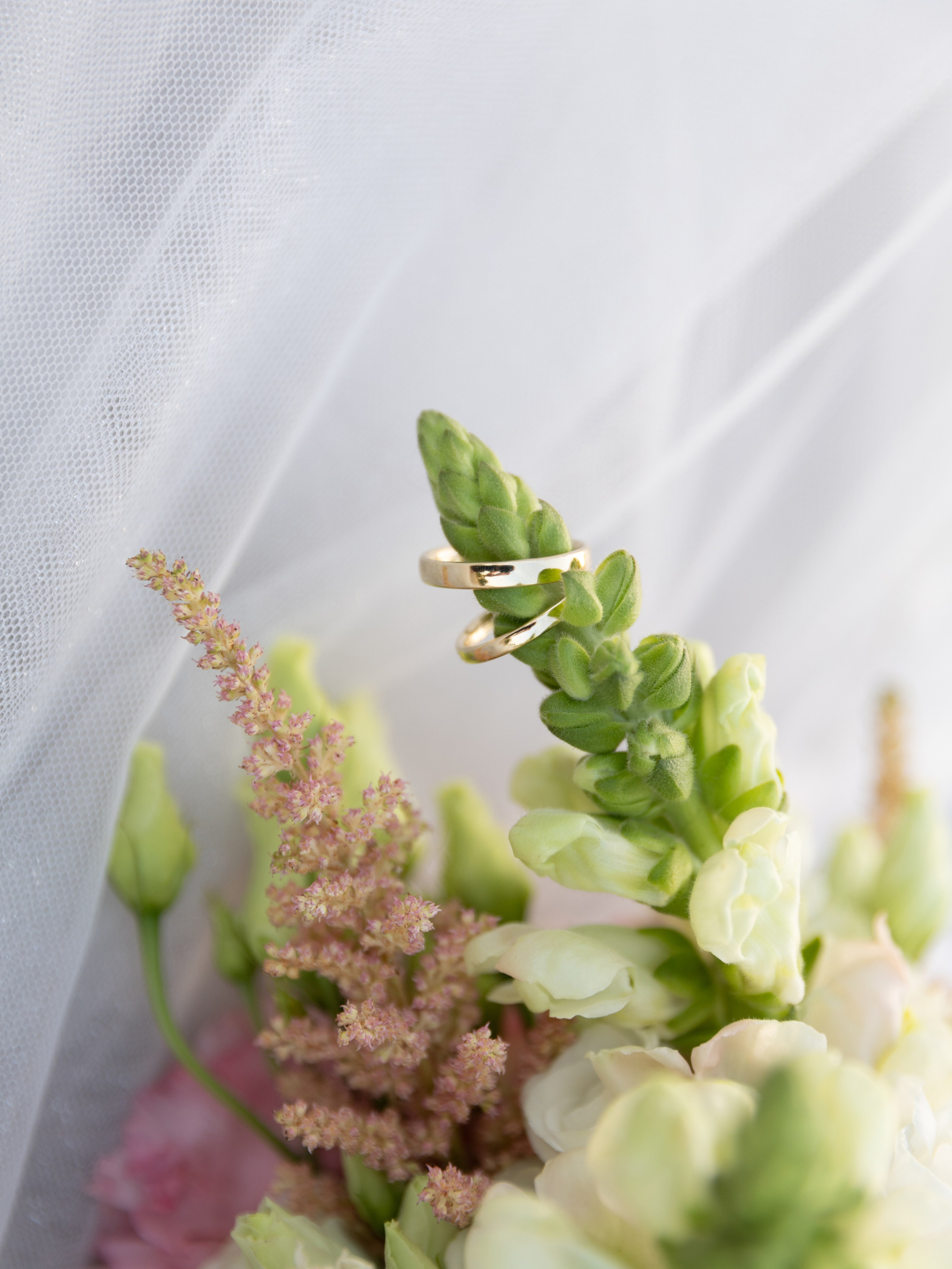 Weddings. Wedding Photographer
