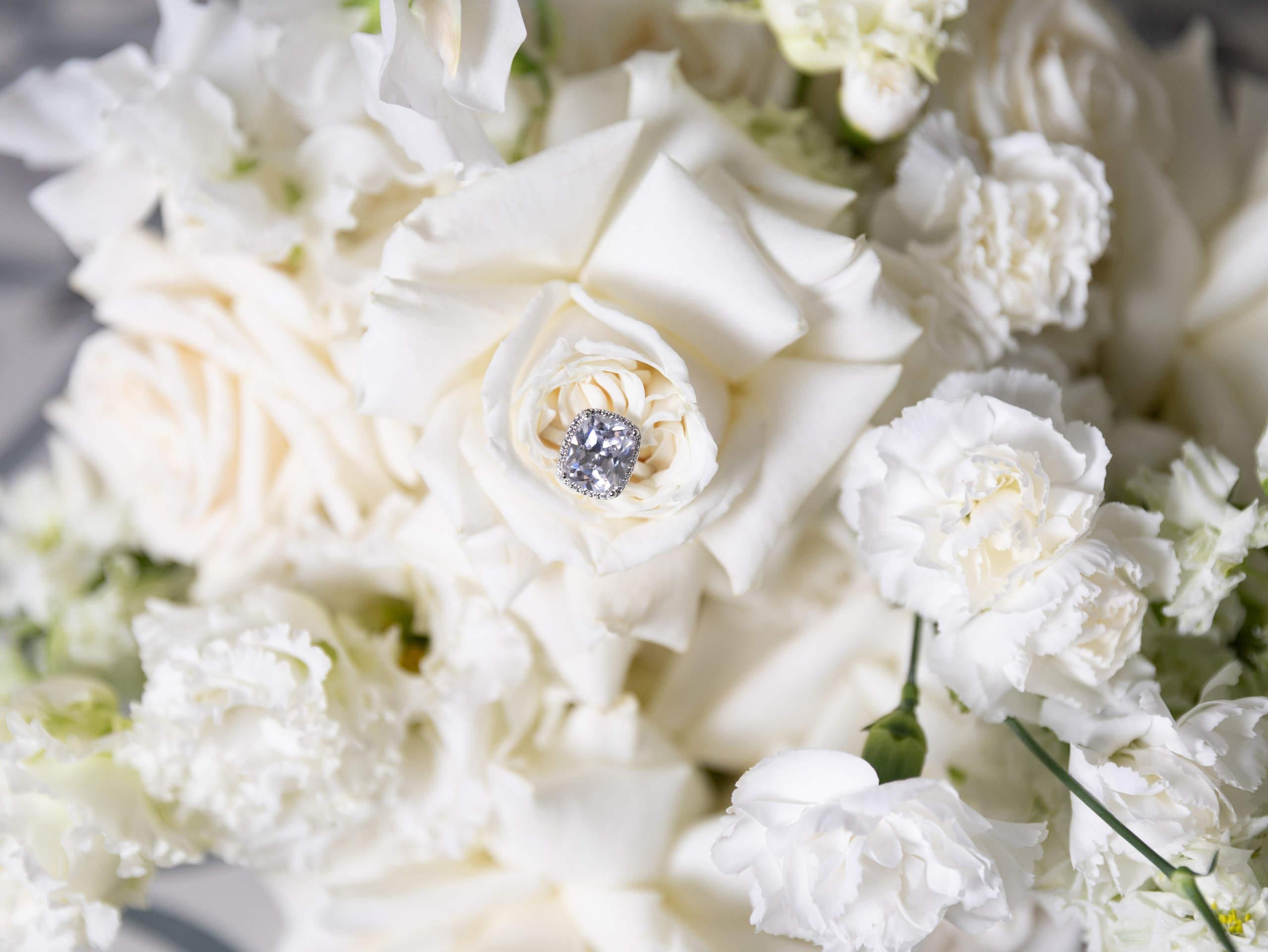 Ronja & Max. Wedding Photographer