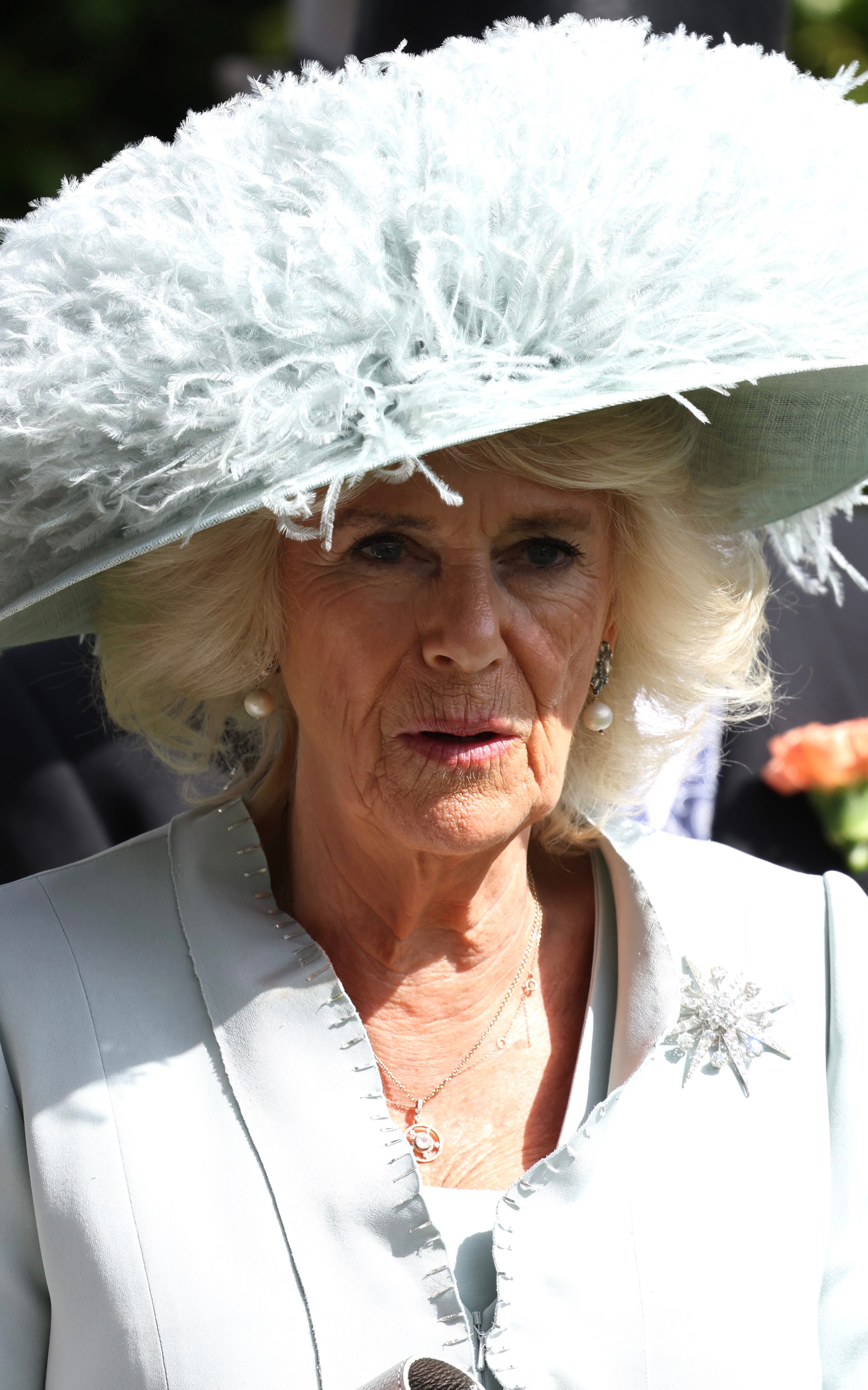 Royal Family. BRUNGRAF MEDIA