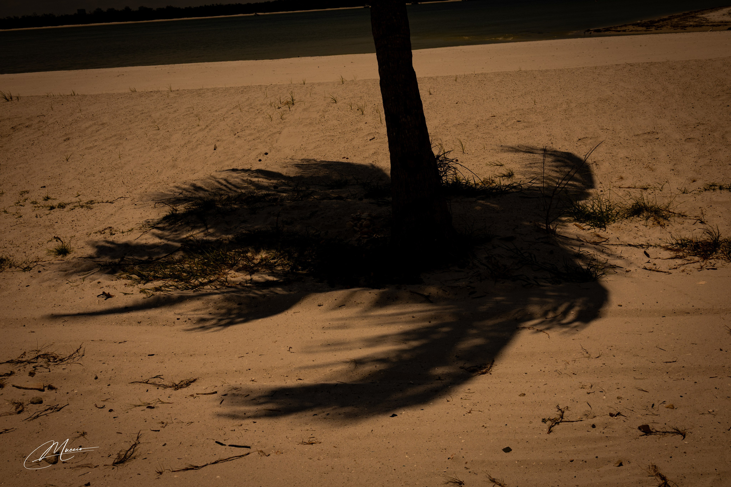 Florida Man — Fort Myers Walkabout. Out and About 239