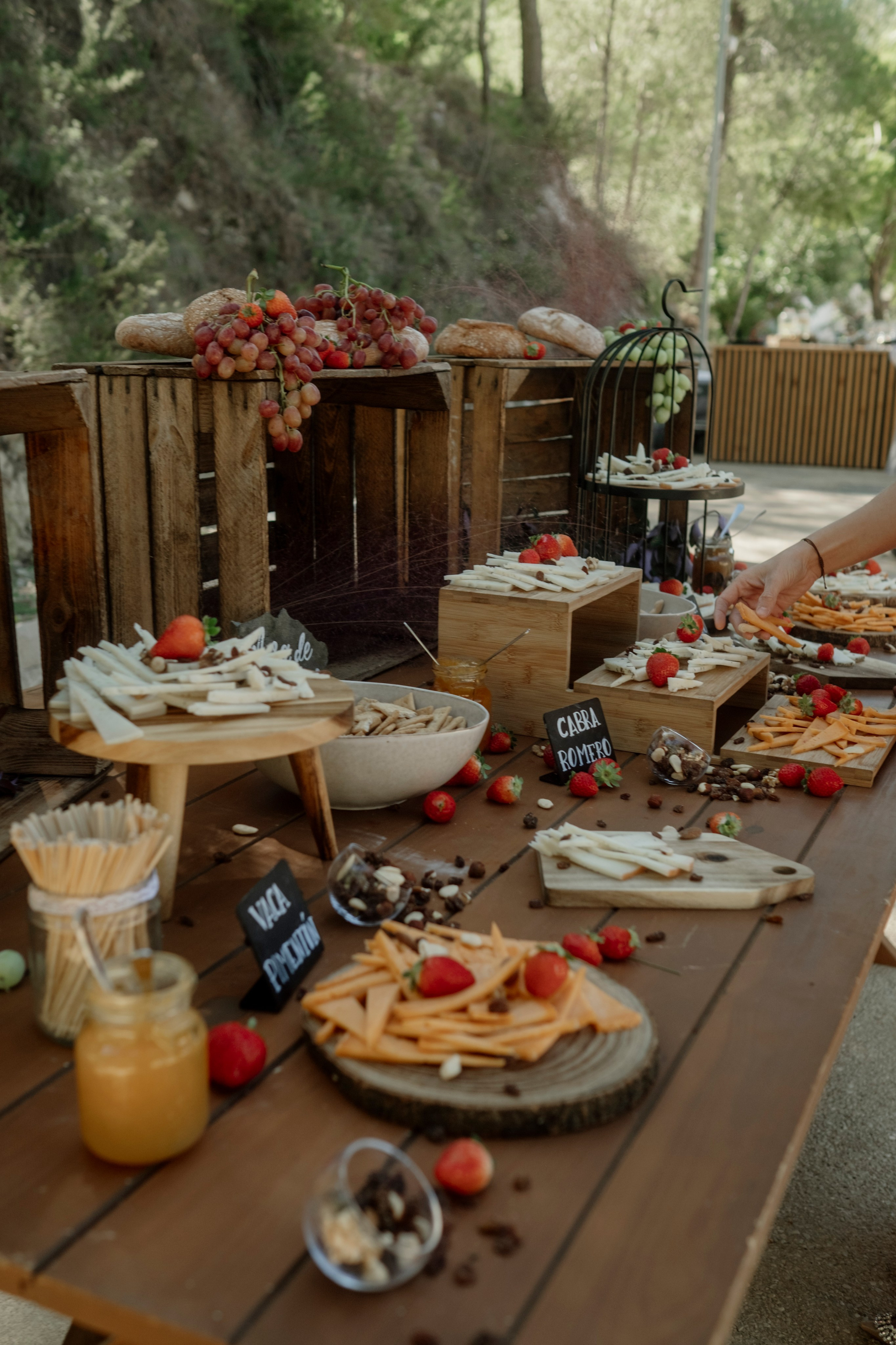 Dasha & Ister. Vivood Landscape. Paola fotógrafo / videografo de bodas en Barcelona