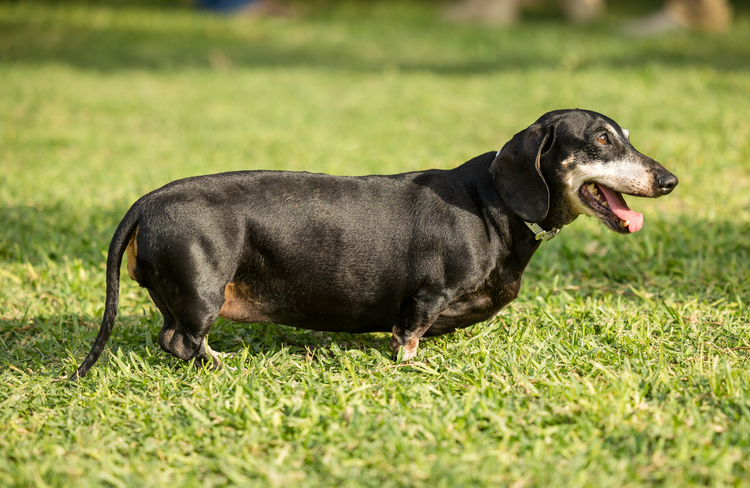 Shirley & Yoav. AMIR BUCHNIK PHOTOGRAPHER