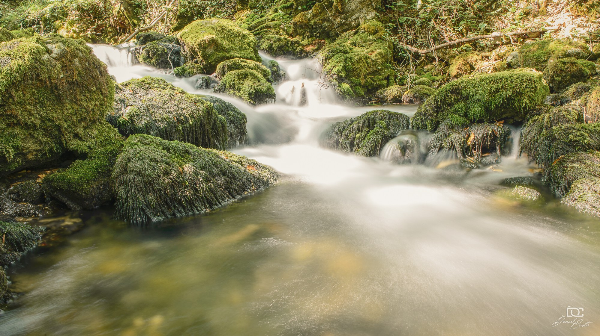 Peisaj /natura. Daniel Criste Fotograf
