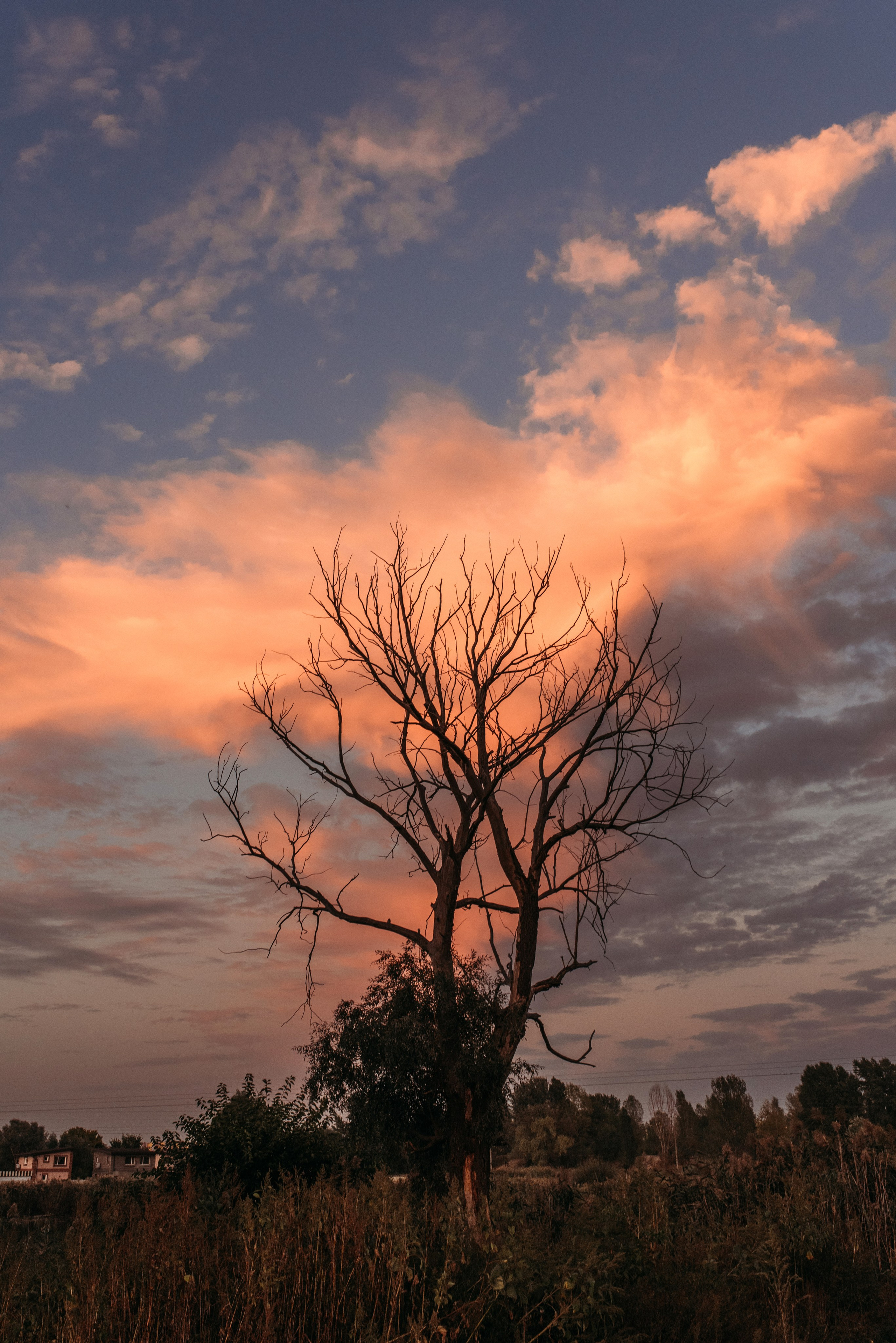 Marina & Artem & Timur. Familien- und Hochzeitsfotografin. Ich arbeite in Koblenz und Rheinlan