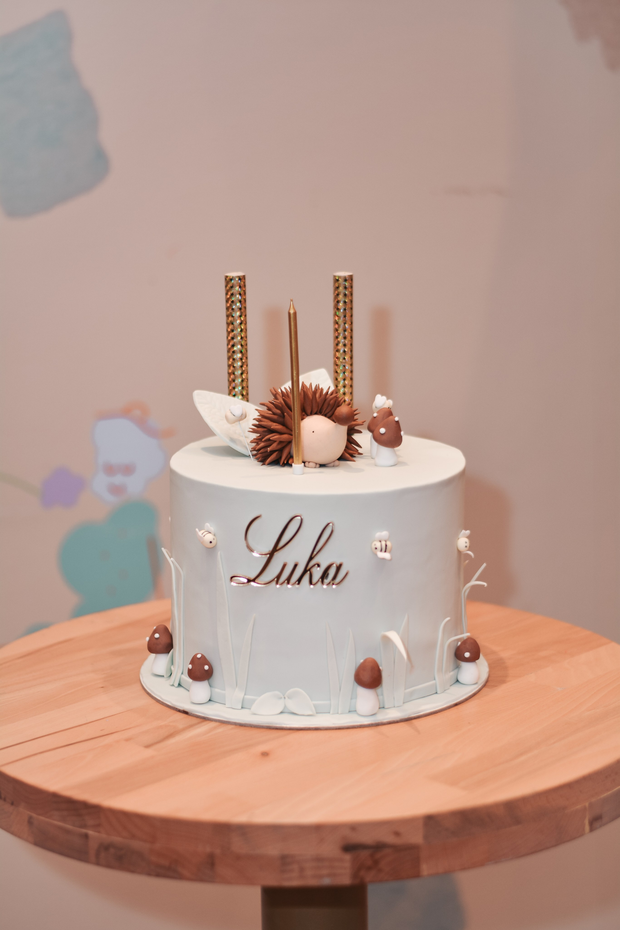 Luka, rođendan. BambinaaPhotography