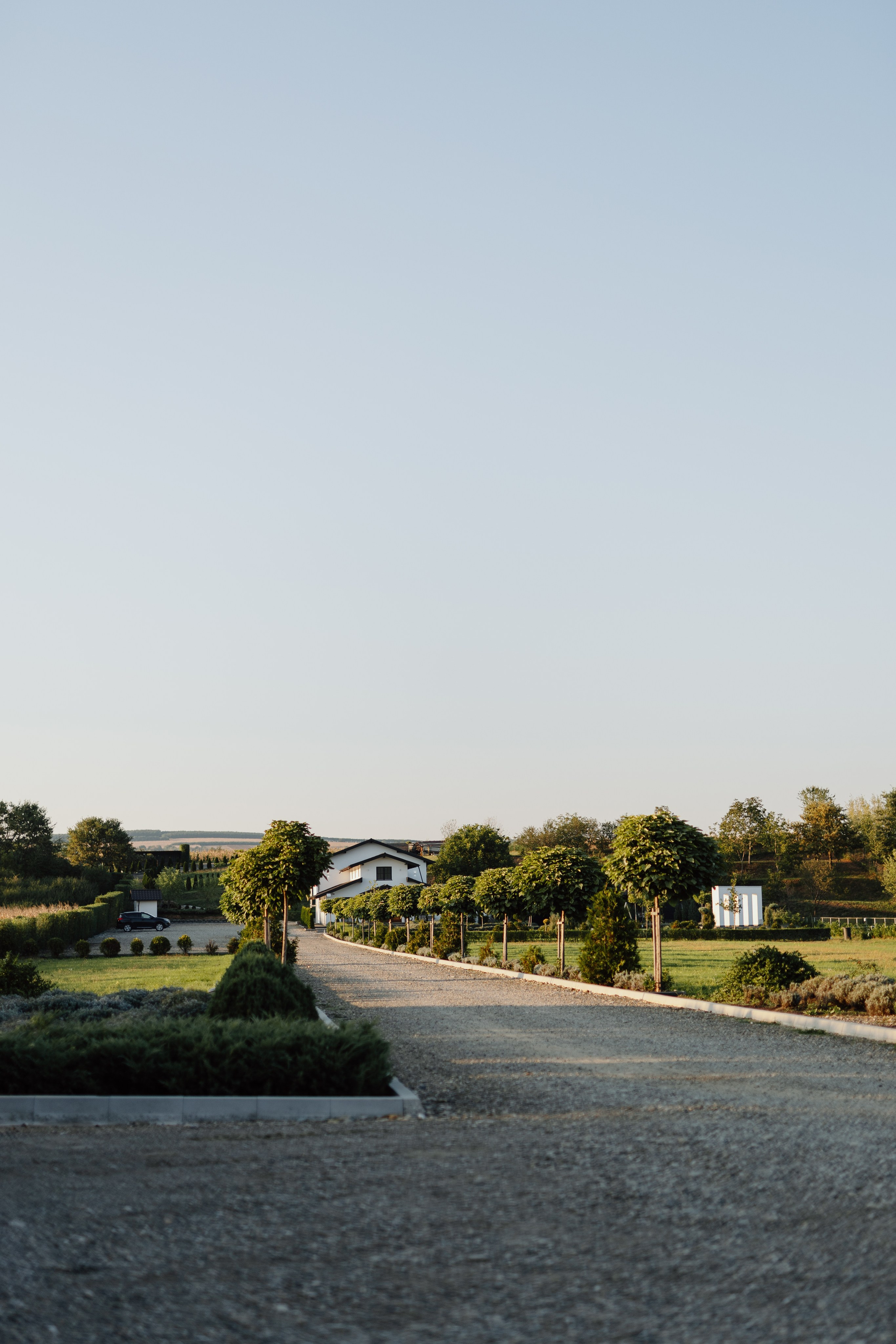 Iustin & Fabiana. Main