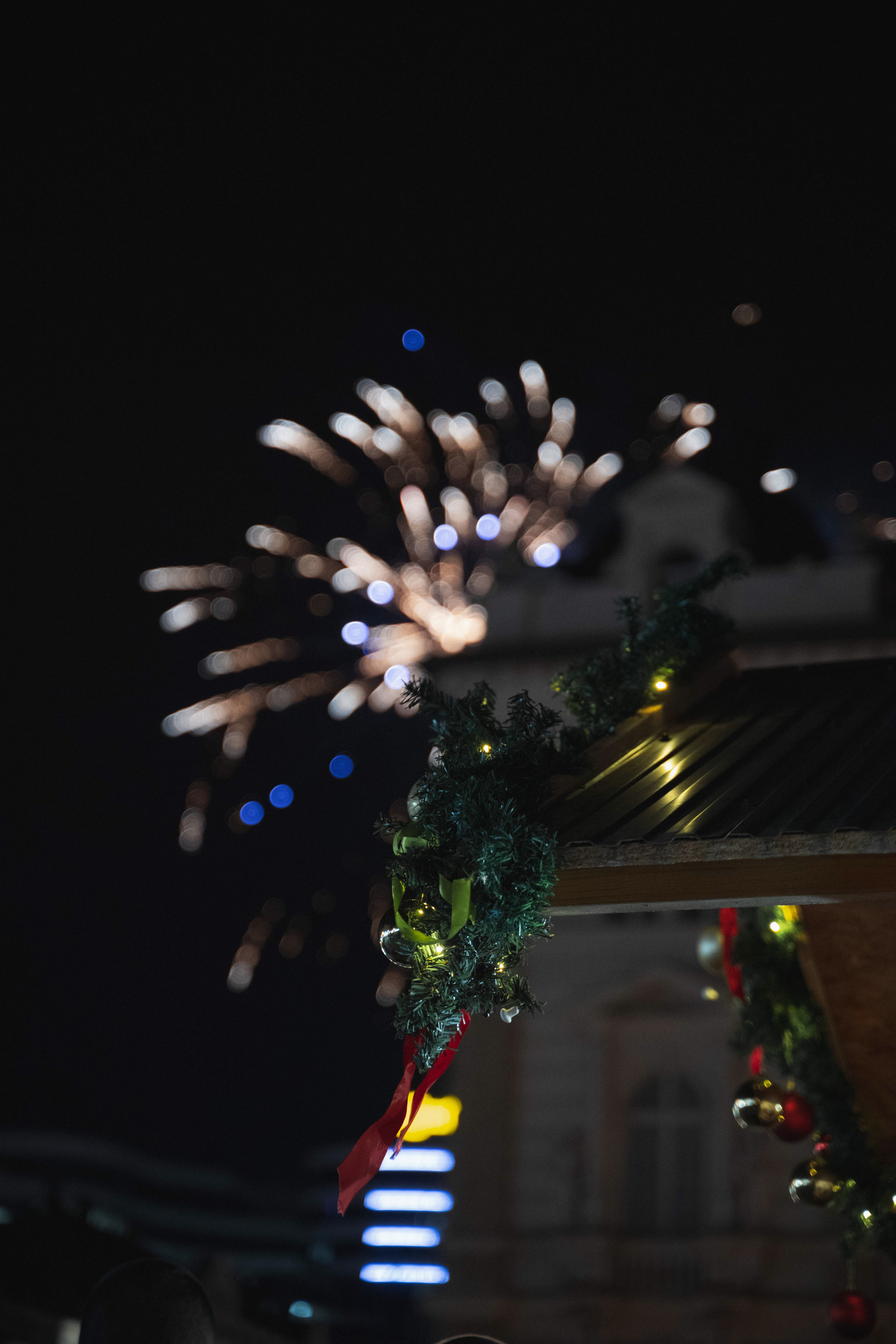 Novosadski Zimzolend. Жуков Студио