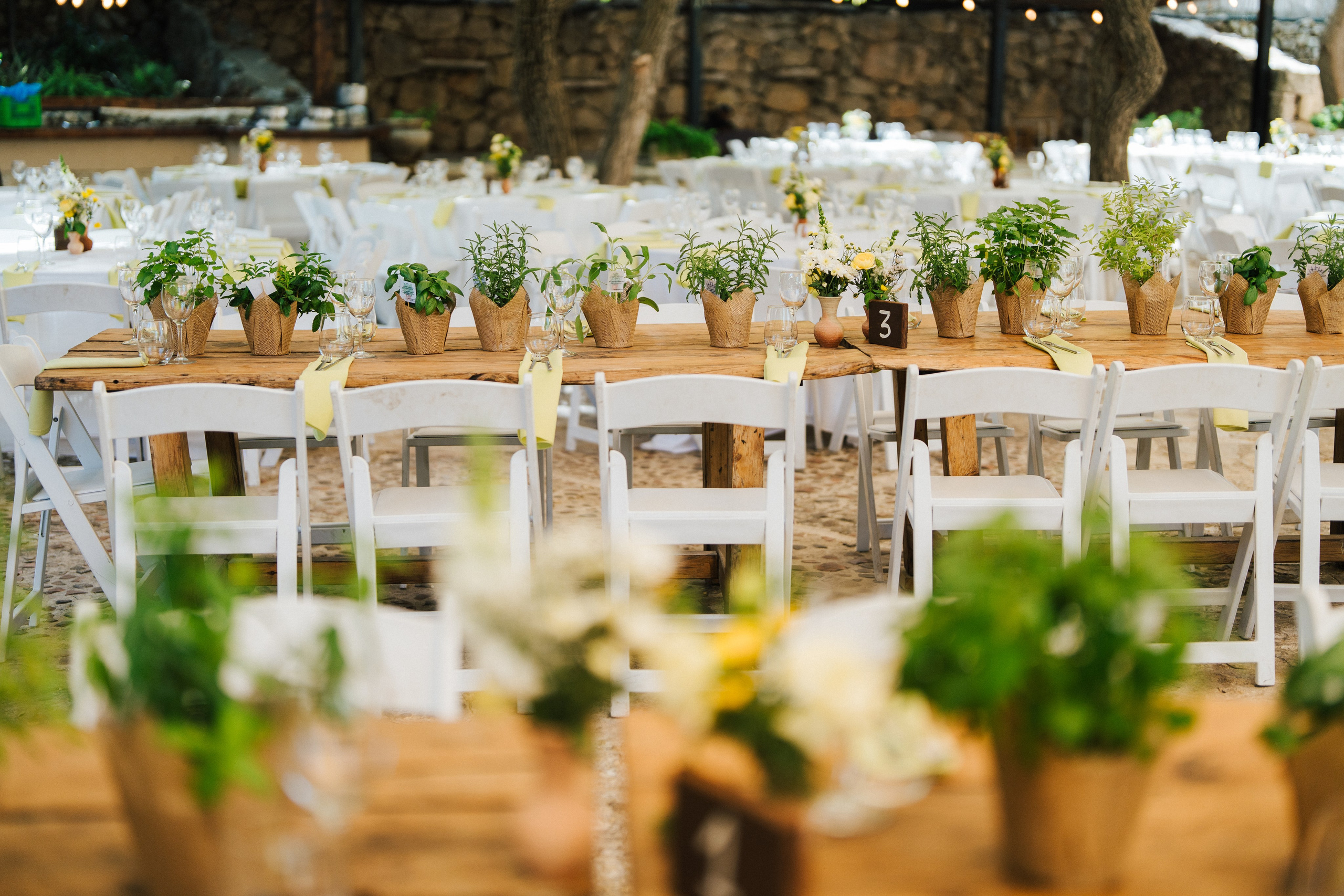 Hadas and Omer. Alexnader Selenzyov Wedding Photographer