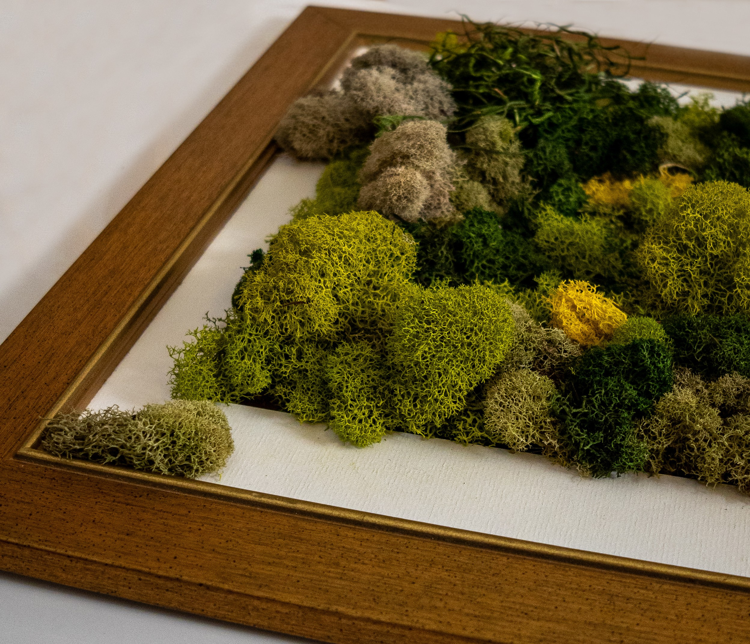 Anna & Moss magic, Content. Yana Bobrova | Artistic Photography