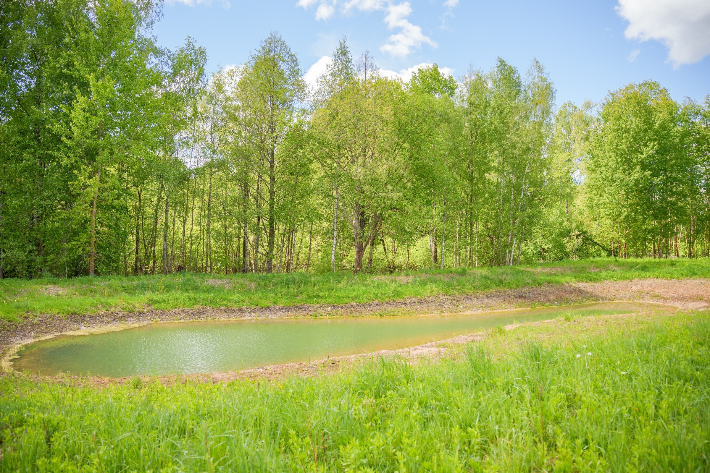 Kernavė. Elina Sapiega fotografė Vilniuje