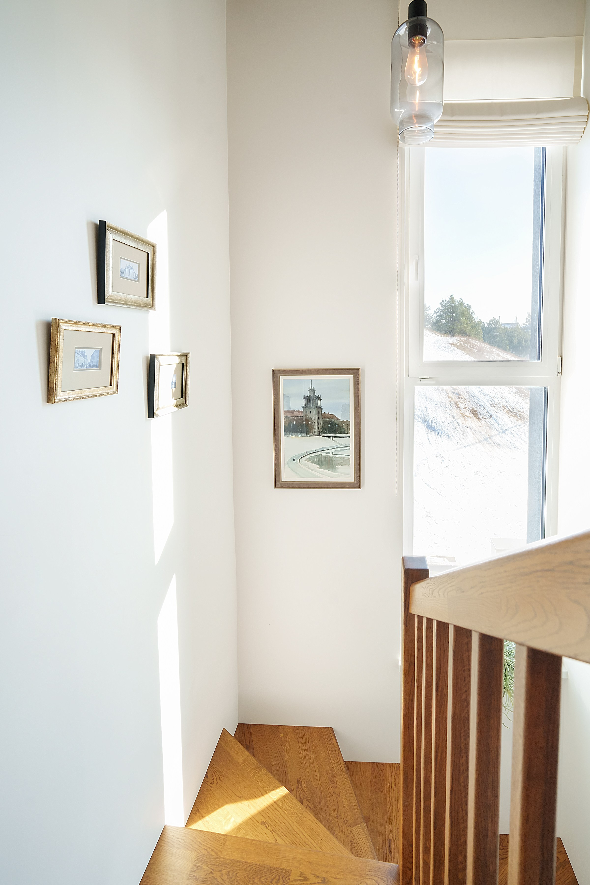 Ginetiškės, Pakonių g. Elina Sapiega fotografė Vilniuje