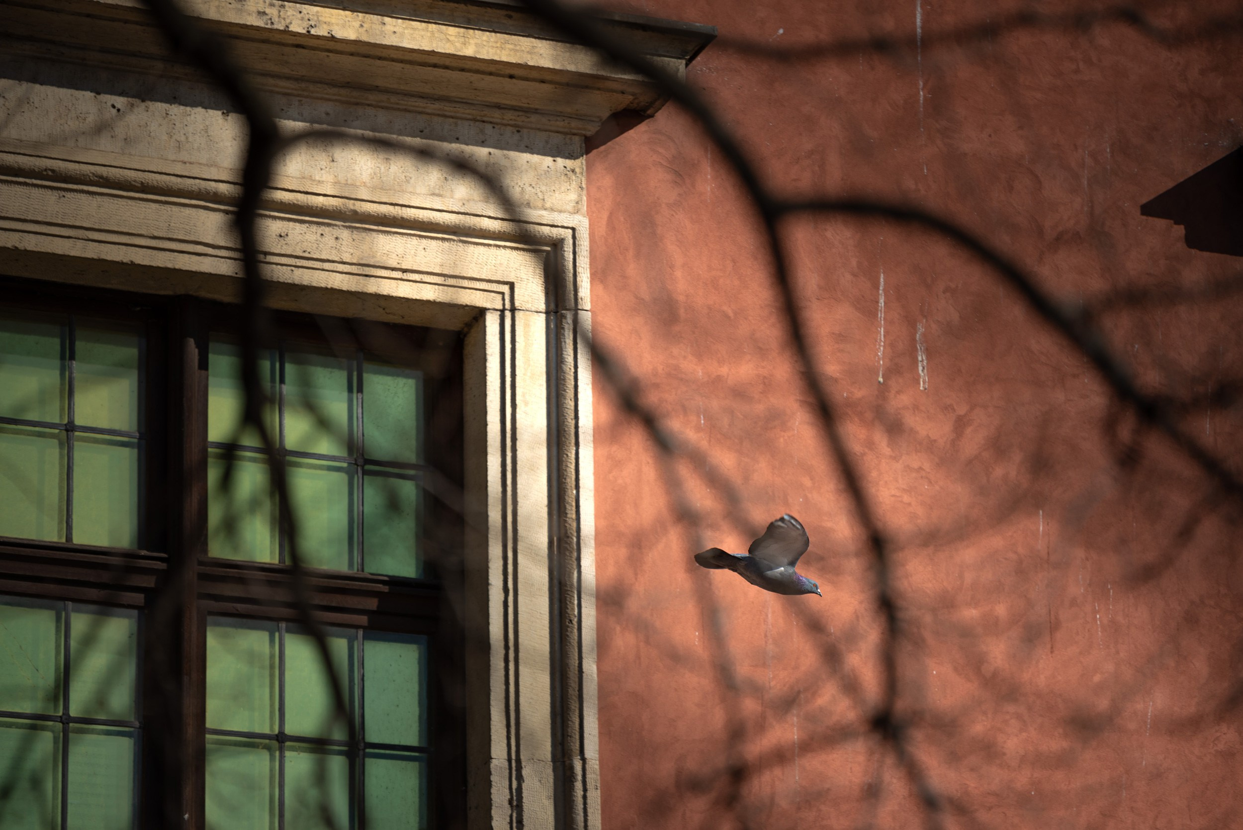 Warsaw. Photographer in Yerevan