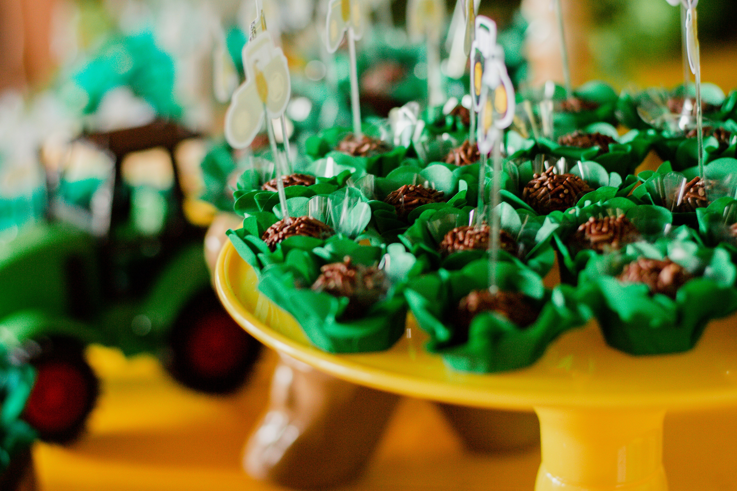 Fotografia de Aniversário Infantil em Holambra – Theo, 2 anos | Joyce Maria. Joyce Maria Fotografia | Fotógrafa em Holambra