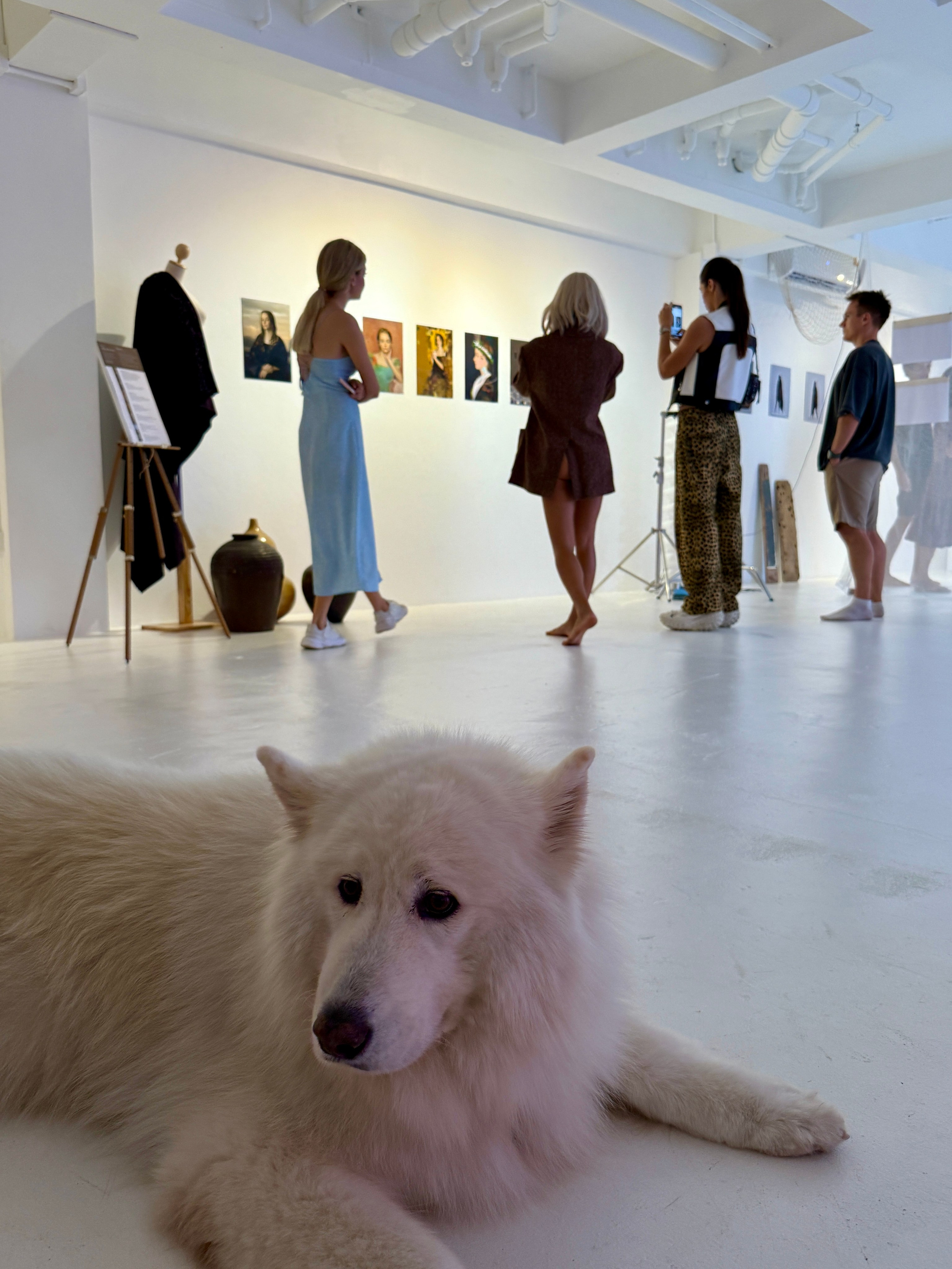 Фотовыставка в Пхукете. Портретный фотограф Алена Новгородцева