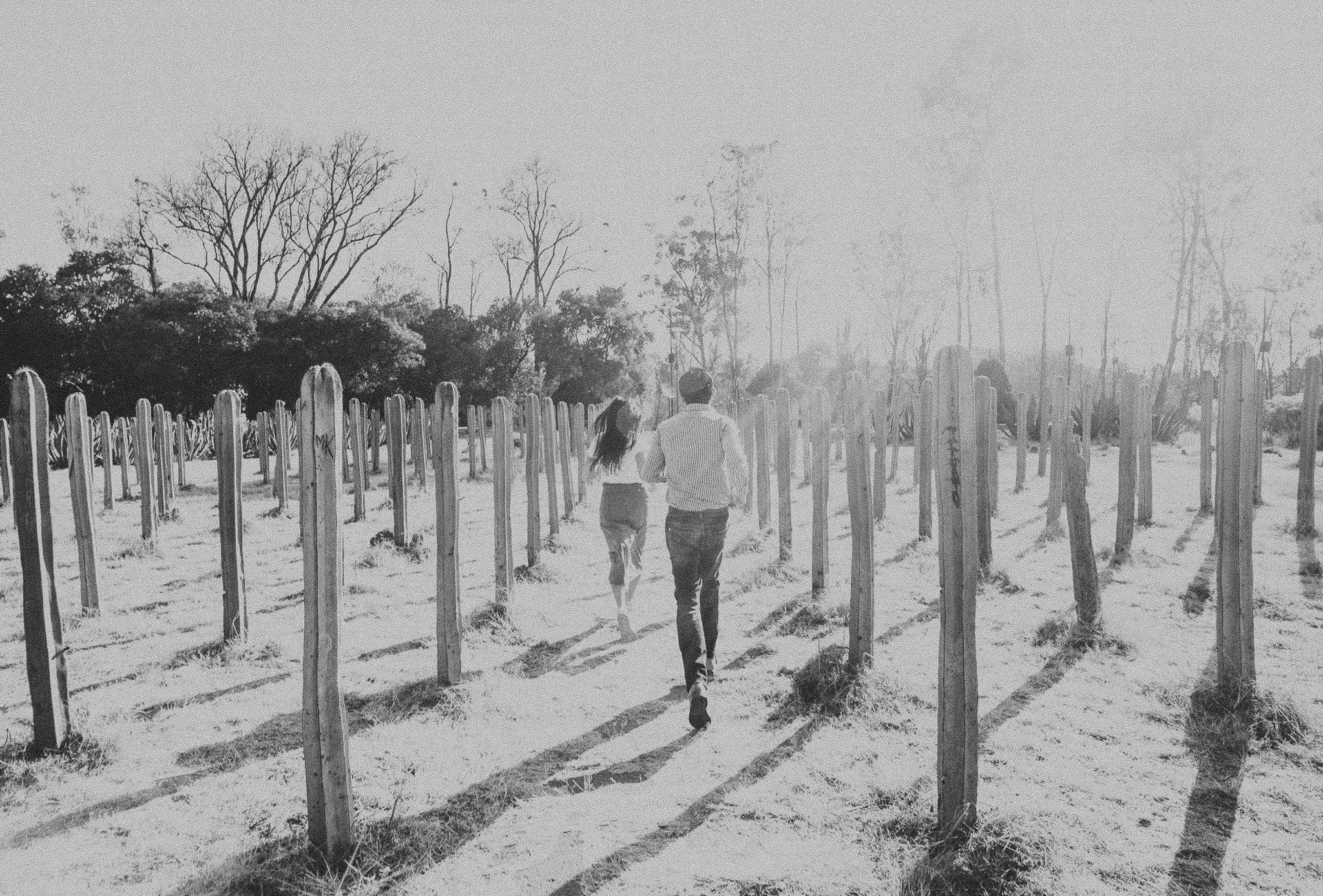 Liliana & Sergio. Wedding and family photographer in Mexico City