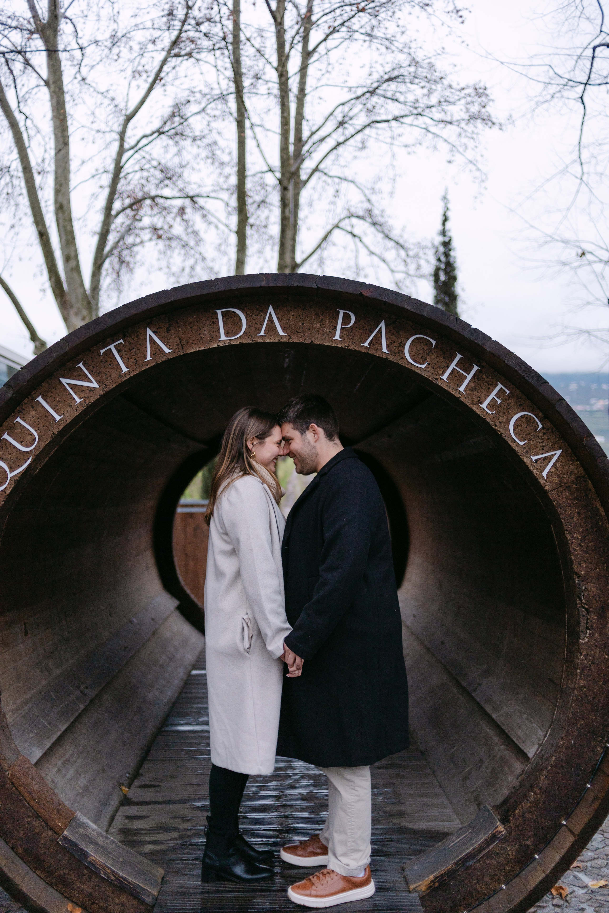 Proposal Sandro — Quinta Pacheca. Wedding and couple photographer in Porto