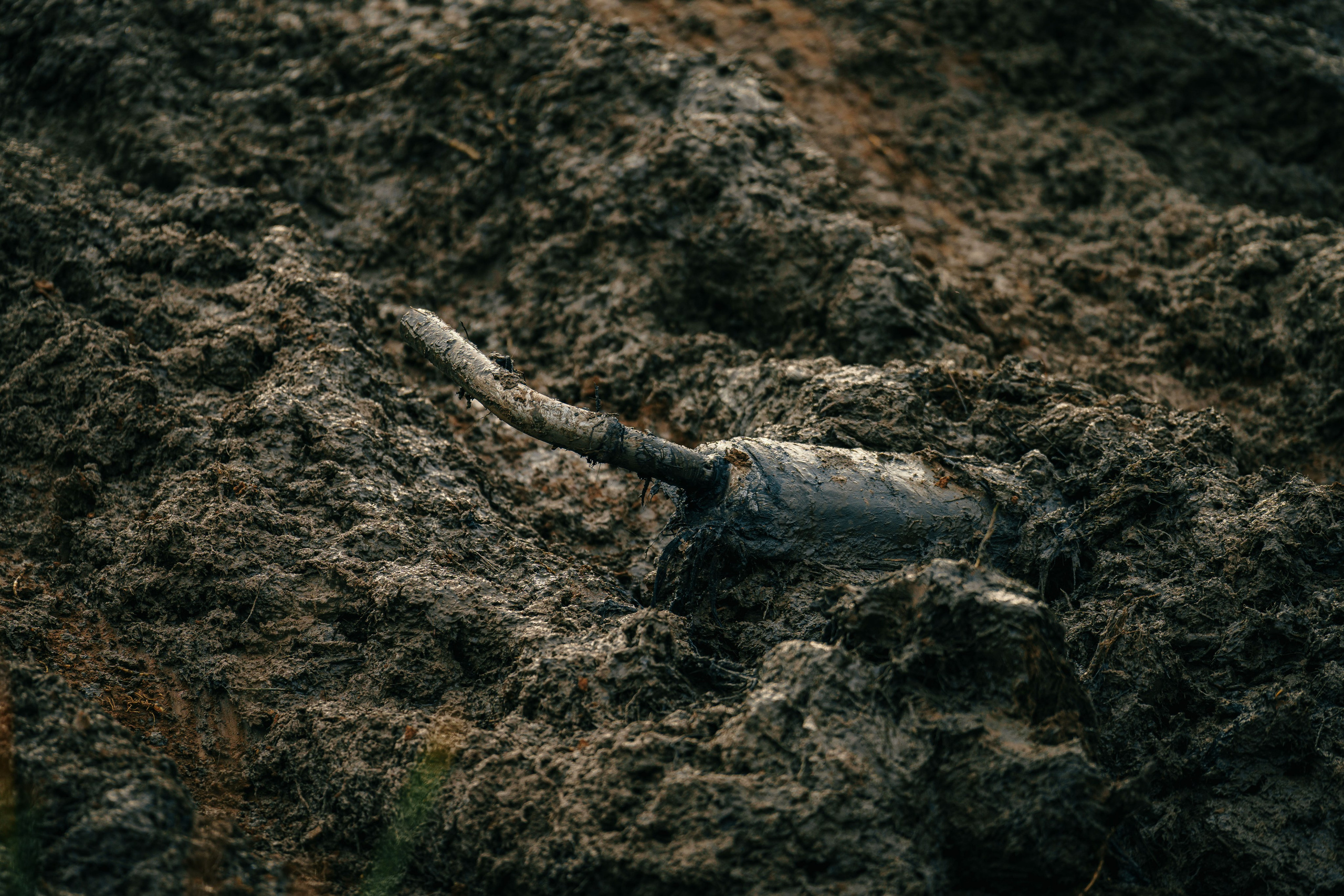 3-Международный Джип Спринт. Георгий Намазов | Фотограф в Ташкенте