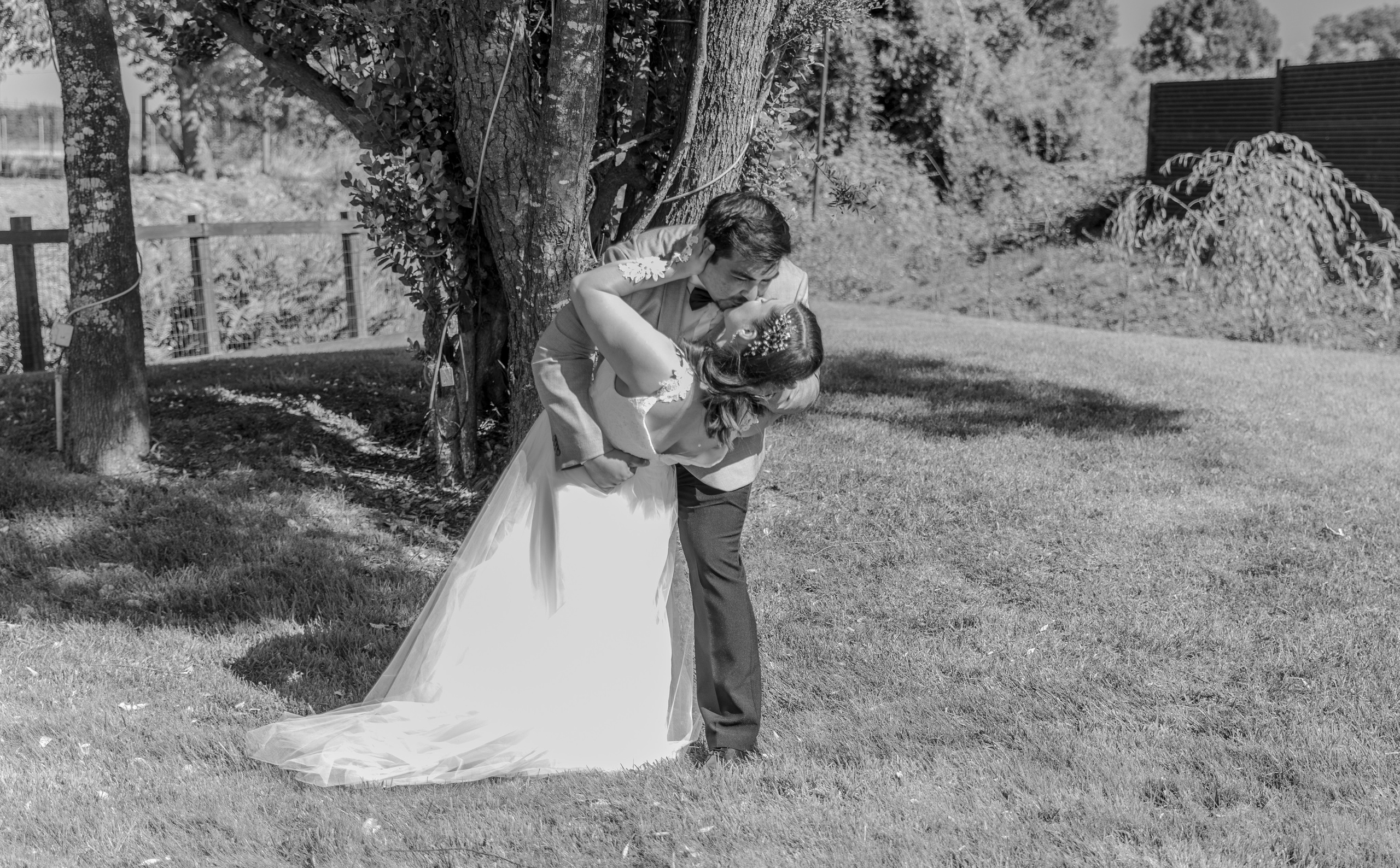 Adriana y Felipe. Dinka & Emilio - El arte de preservar lo que no se repite