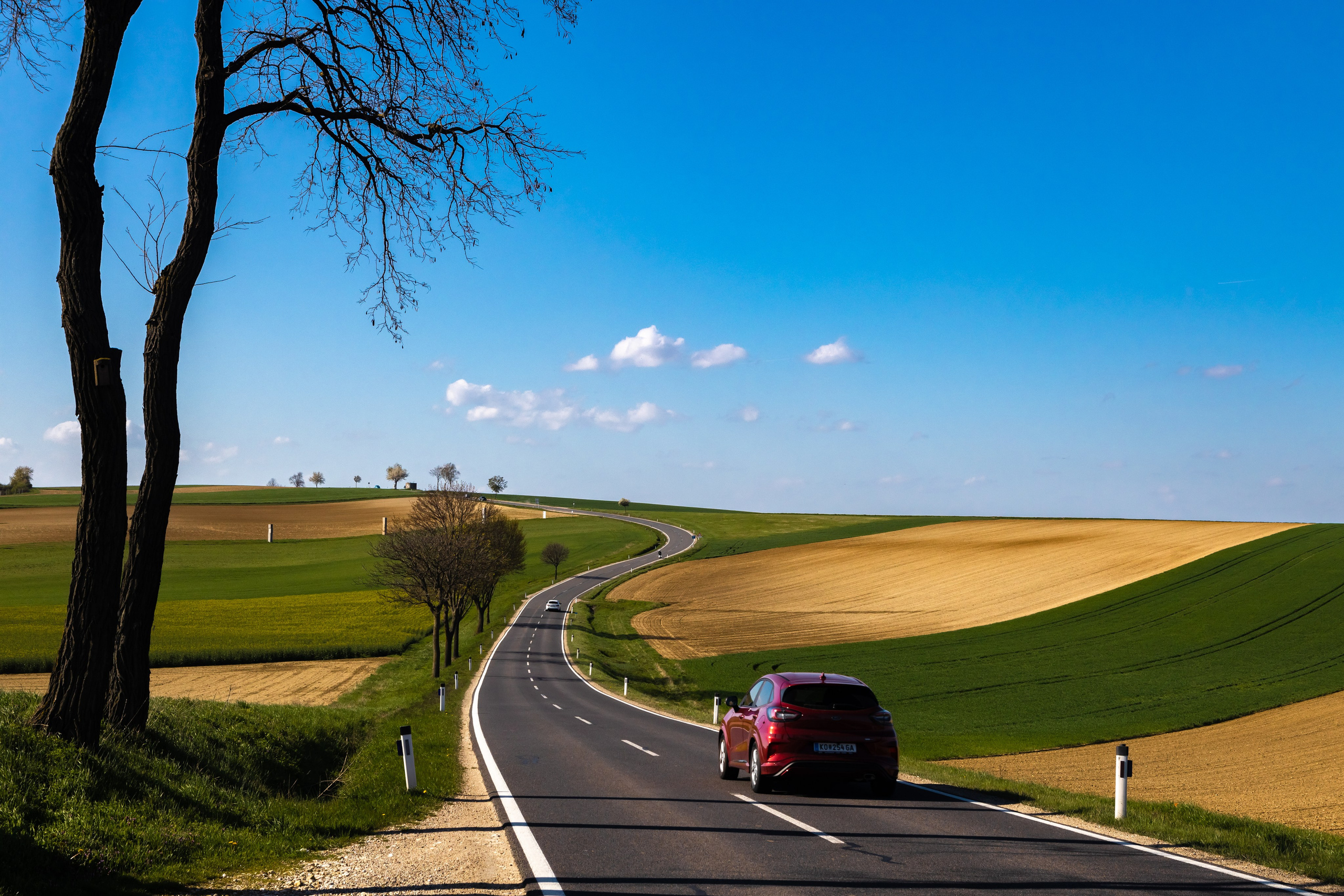 Дорога среди полей. Красный автомобиль. Пейзажная фотография Юрия Меркулова. Фото для интерьера. Возможна печать на большом формате. Пейзаж. Ландшафт.