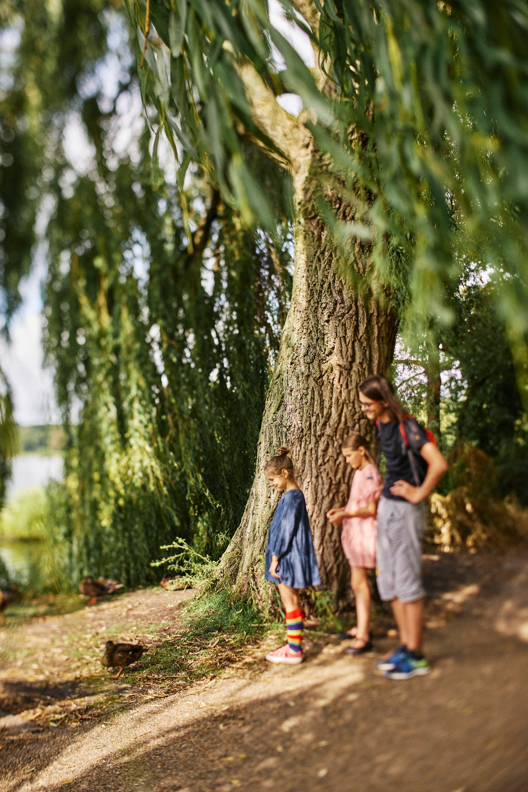 Hillerød. Vutitsa